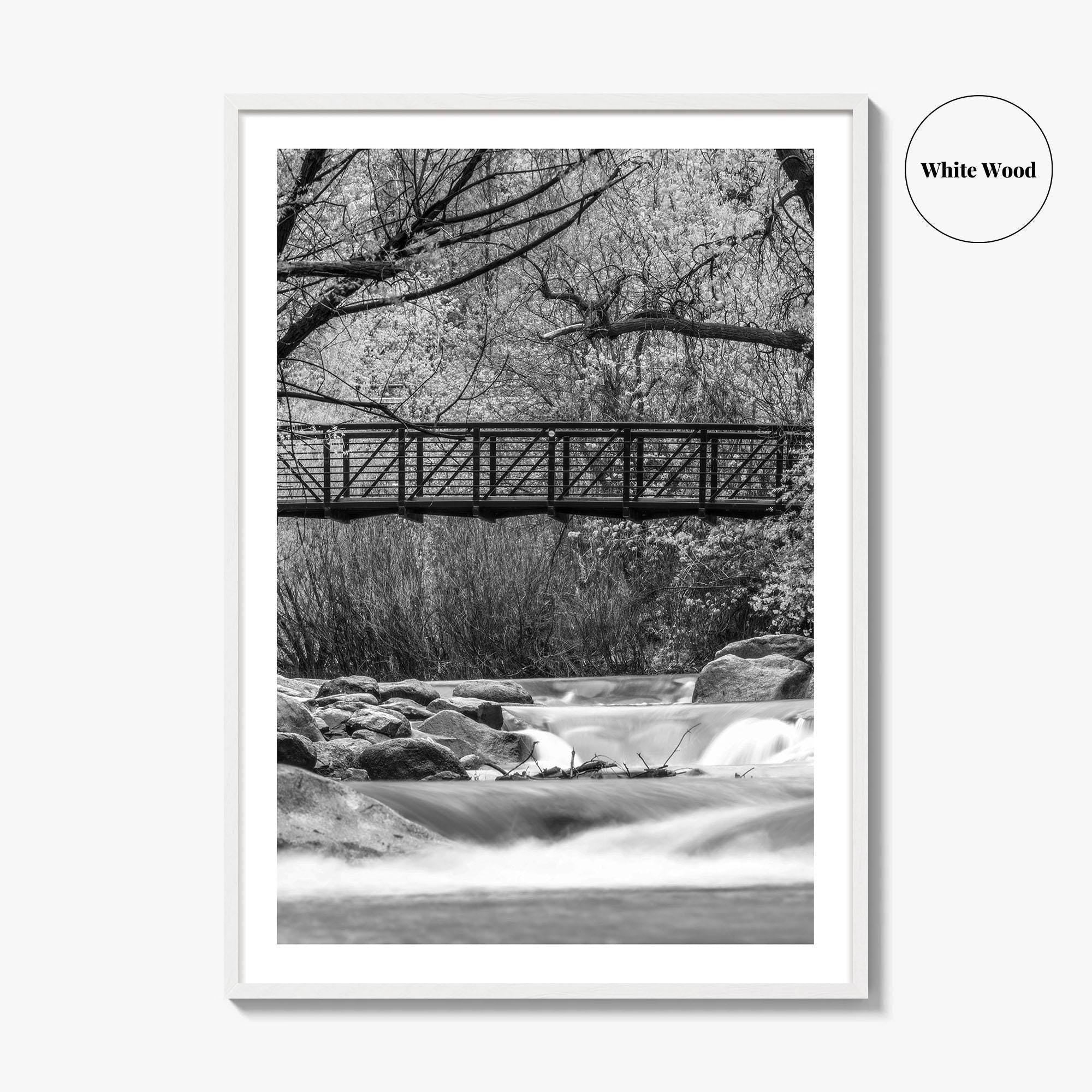 Boulder Creek Black and White Fine Art Photo Print, Colorado USA Poster