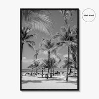 Aruba Black and White Fine Art Photo Print, Palm Beach Caribbean Poster, Island