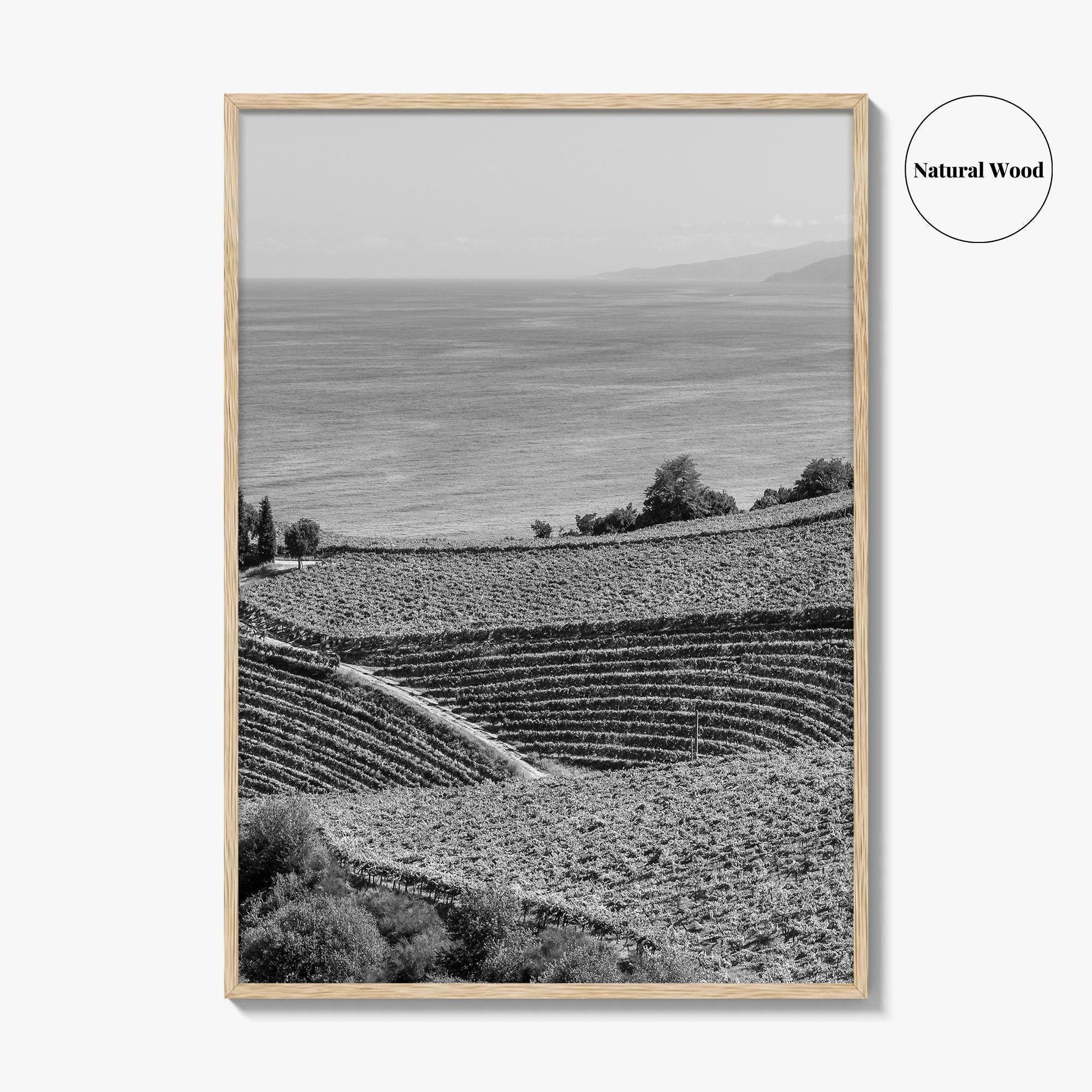 Getaria Black and White Fine Art Photo Print, Basque Country Spain, Vineyard Wall Art