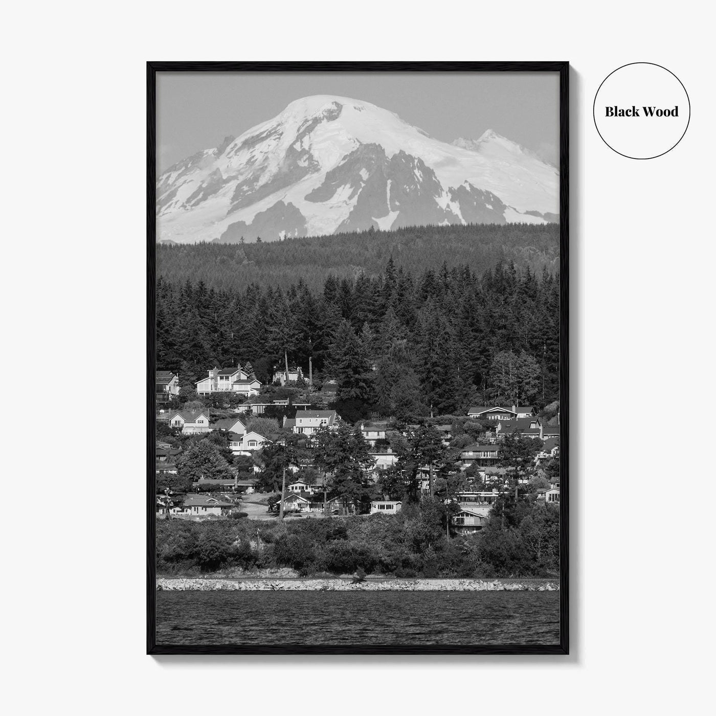 Bellingham Black and White Fine Art Photo Print, Mount Baker Washington Poster