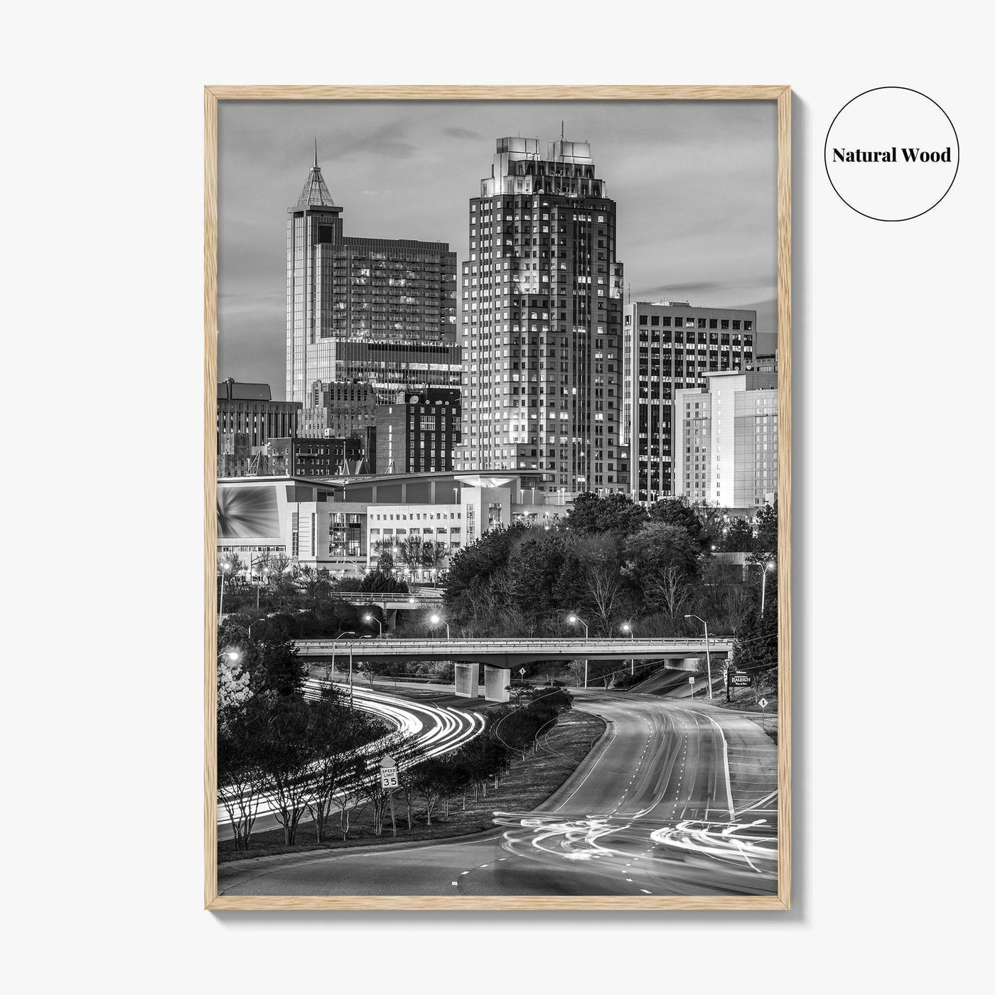 Raleigh Skyline Black and White Fine Art Photo Print, North Carolina Downtown Poster, USA