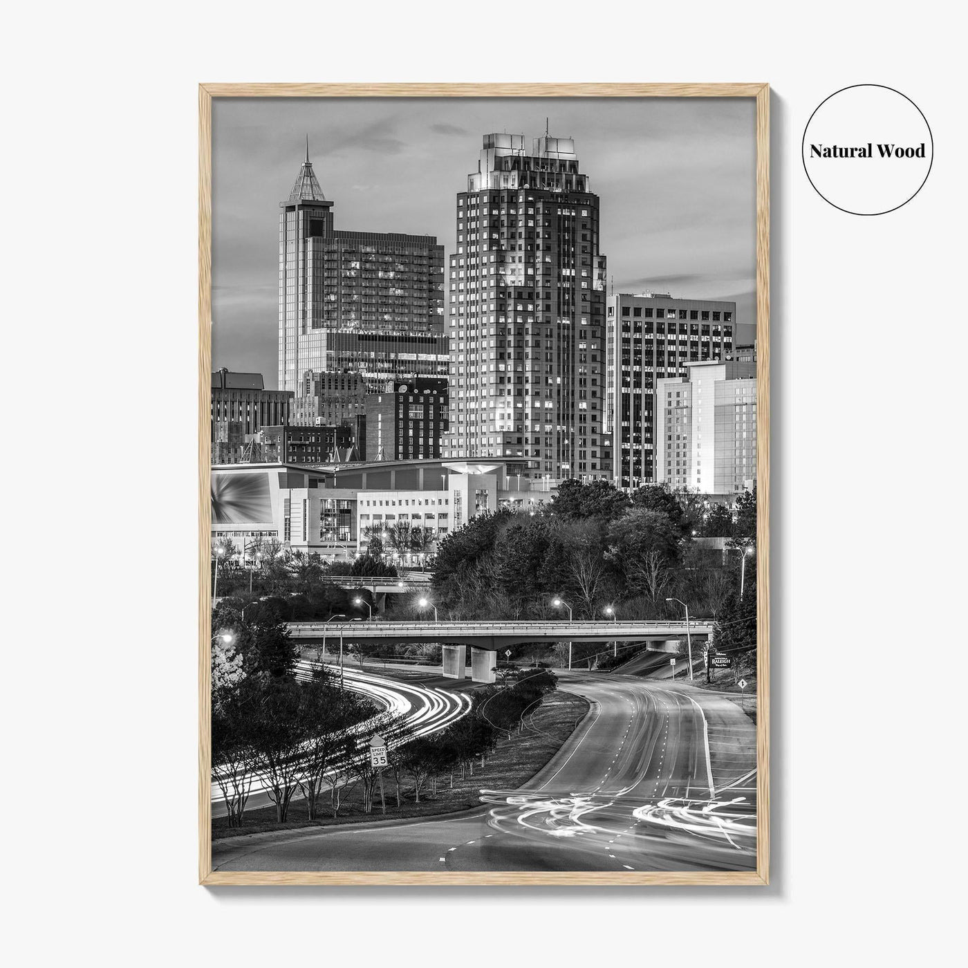 Raleigh Skyline Black and White Fine Art Photo Print, North Carolina Downtown Poster, USA