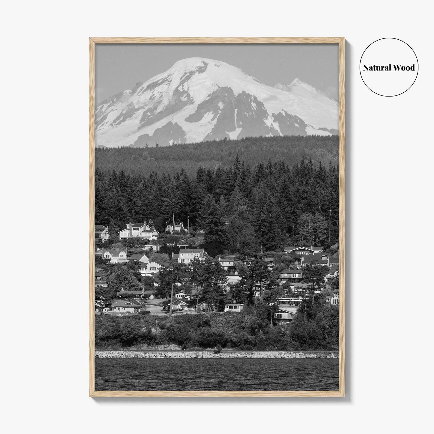 Bellingham Black and White Fine Art Photo Print, Mount Baker Washington Poster
