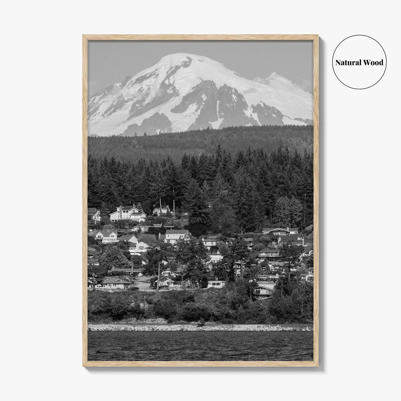 Bellingham Black and White Fine Art Photo Print, Mount Baker Washington Poster