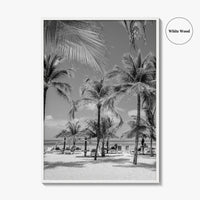 Aruba Black and White Fine Art Photo Print, Palm Beach Caribbean Poster, Island
