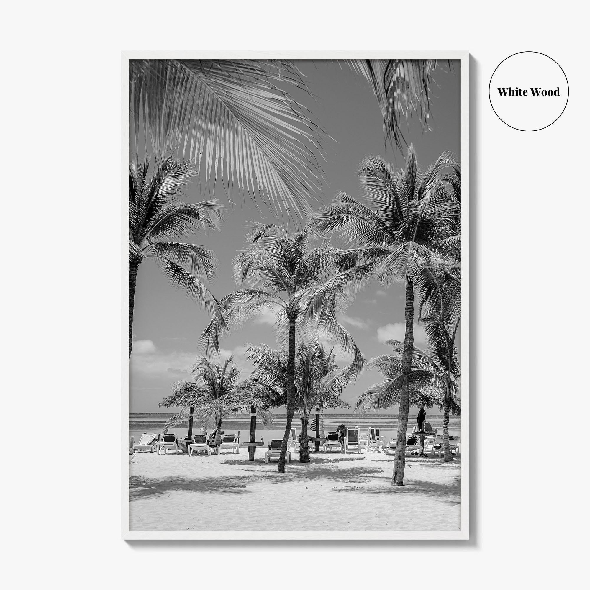 Aruba Black and White Fine Art Photo Print, Palm Beach Caribbean Poster, Island