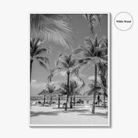 Aruba Black and White Fine Art Photo Print, Palm Beach Caribbean Poster, Island