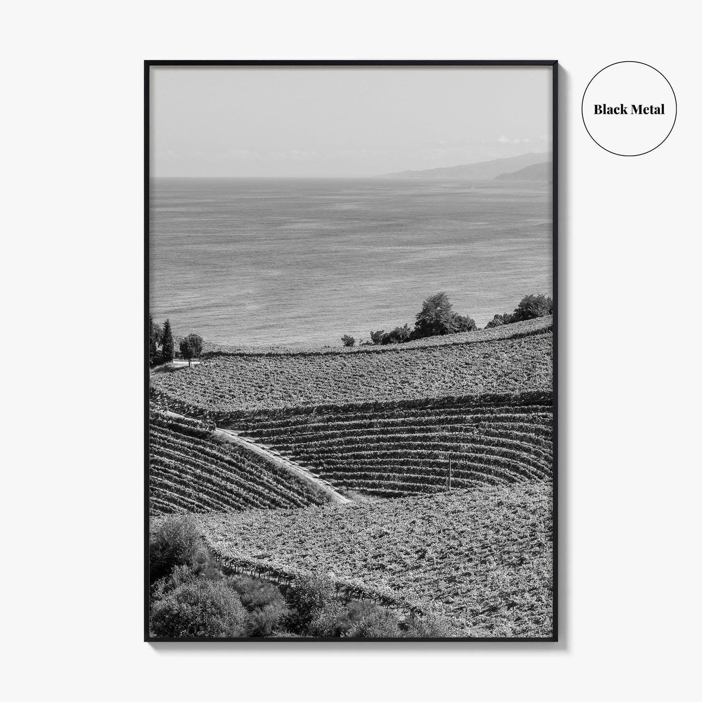Getaria Black and White Fine Art Photo Print, Basque Country Spain, Vineyard Wall Art