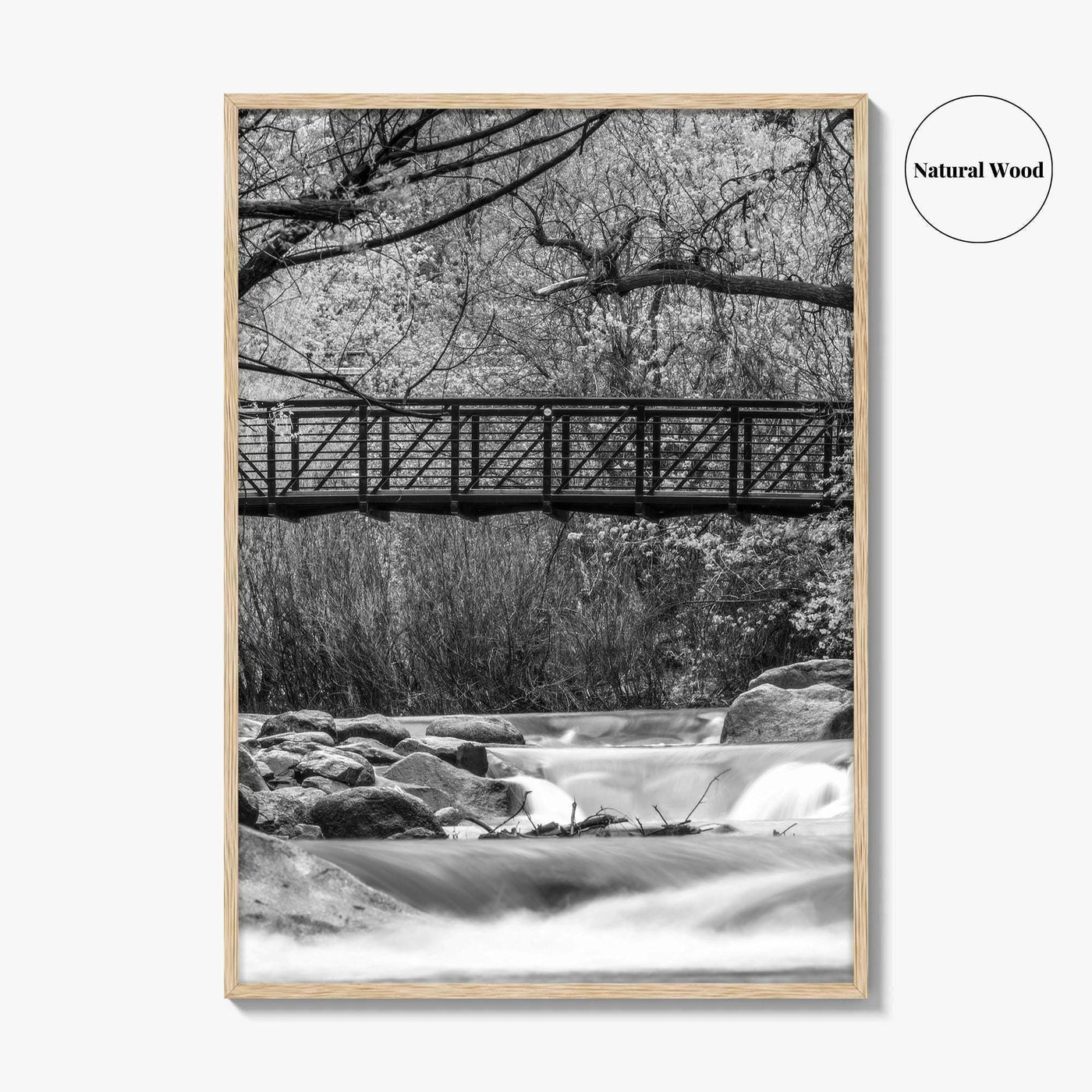 Boulder Creek Black and White Fine Art Photo Print, Colorado USA Poster