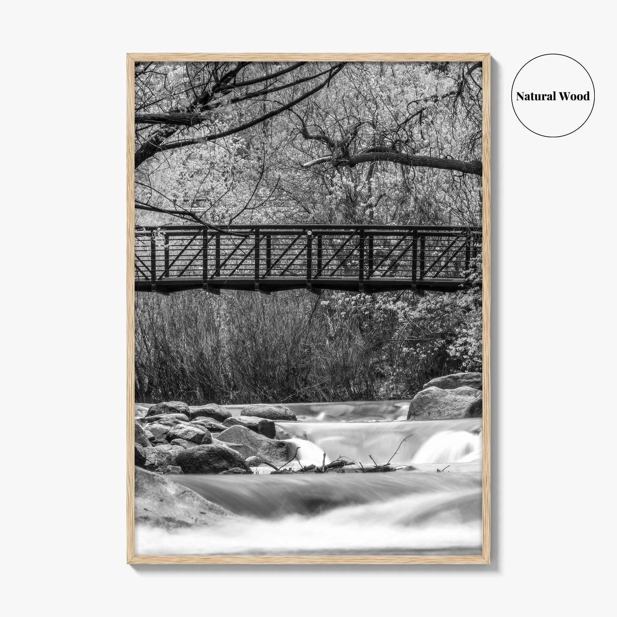 Boulder Creek Black and White Fine Art Photo Print, Colorado USA Poster