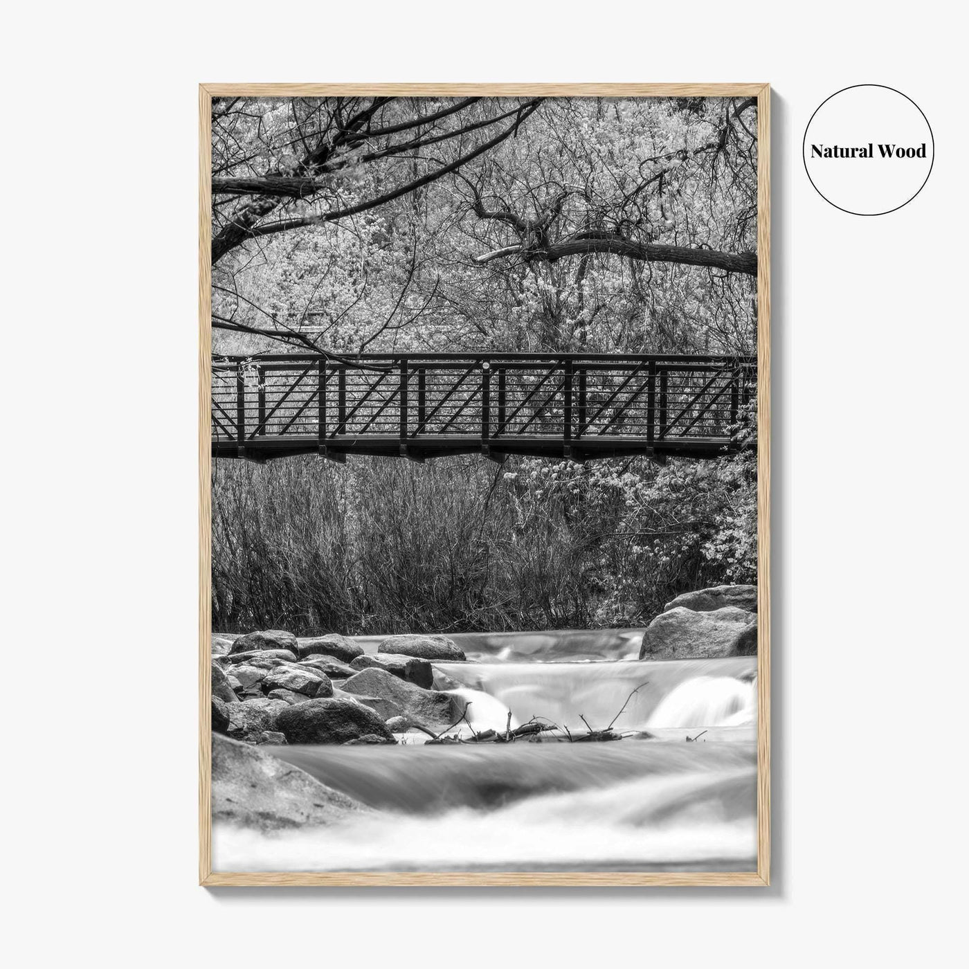 Boulder Creek Black and White Fine Art Photo Print, Colorado USA Poster