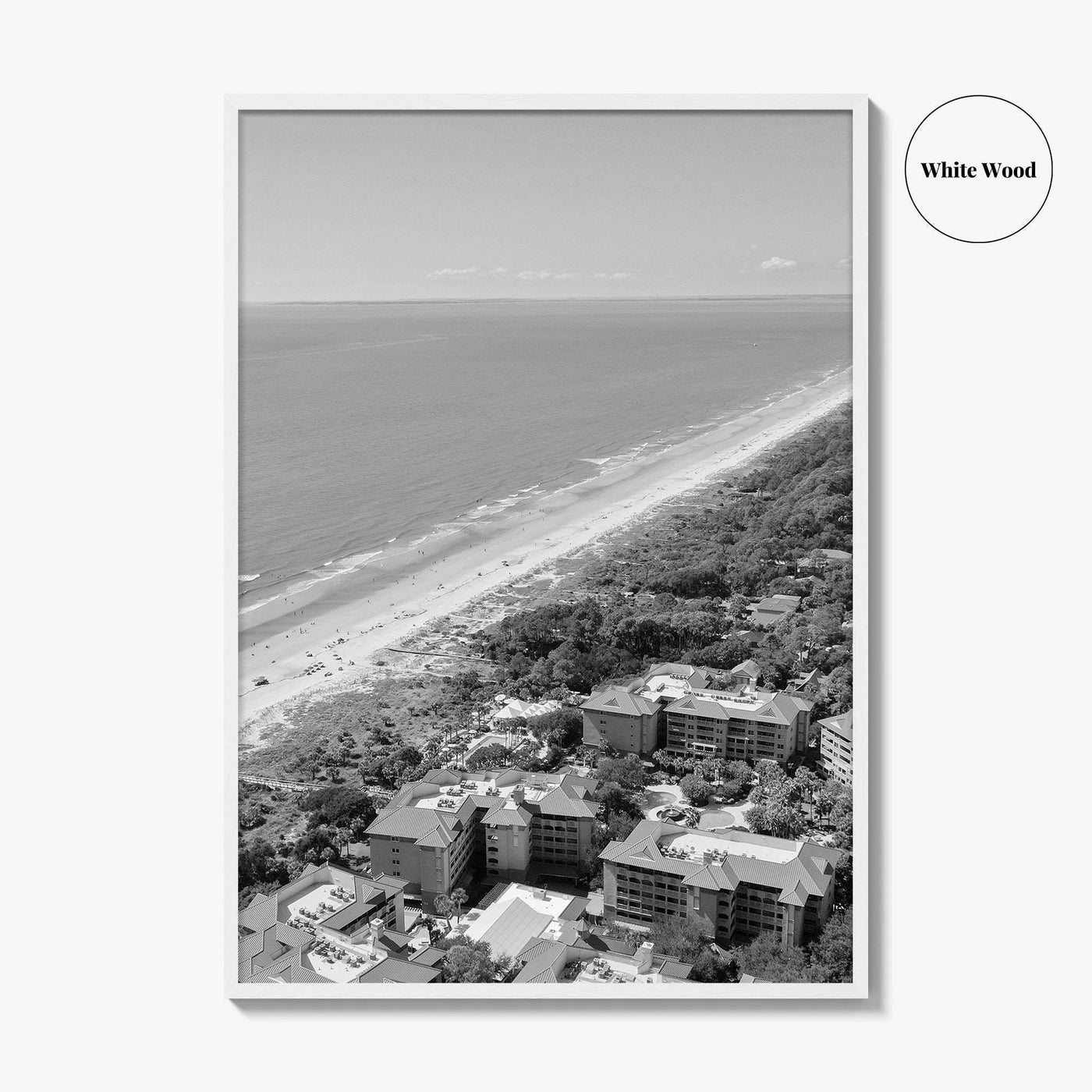 Hilton Head Island Black and White Fine Art Photo Print, Coligny South Carolina Poster