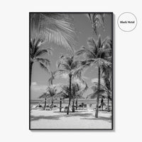 Aruba Black and White Fine Art Photo Print, Palm Beach Caribbean Poster, Island