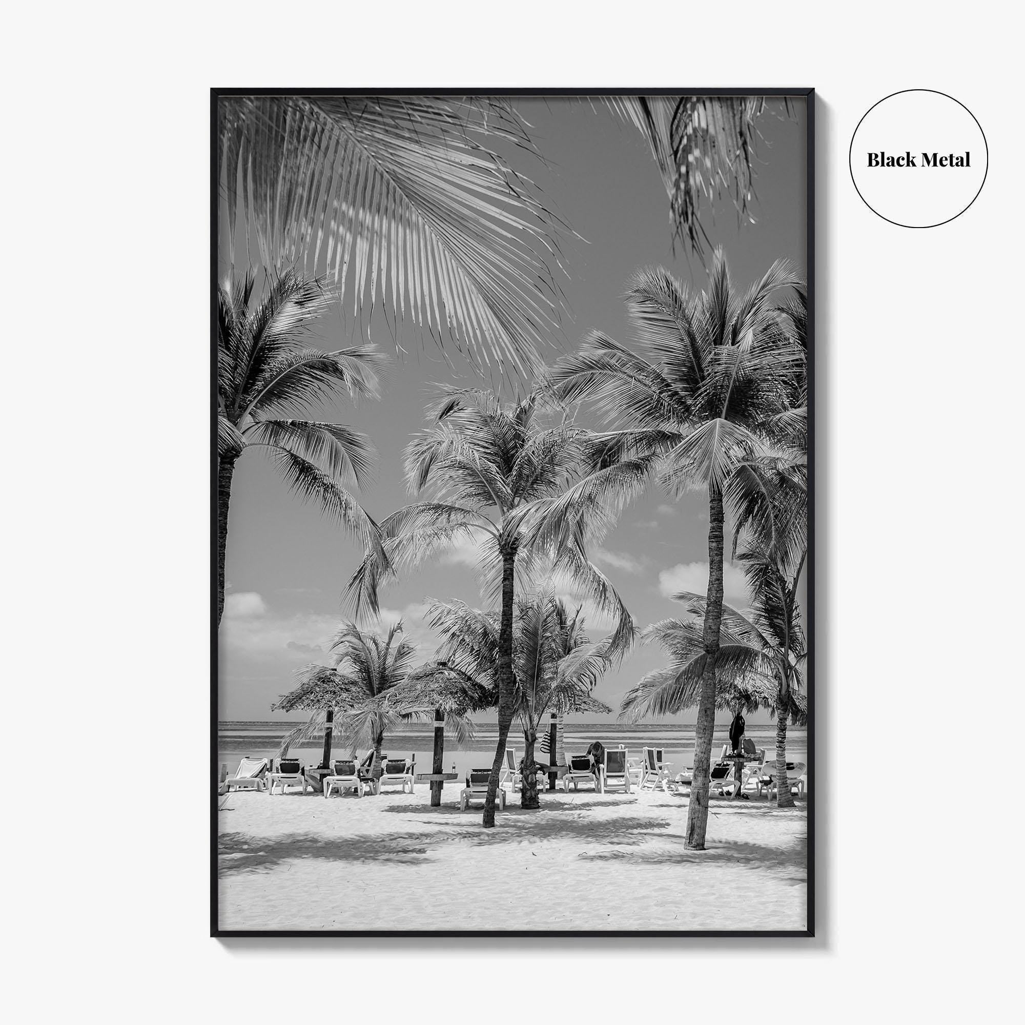Aruba Black and White Fine Art Photo Print, Palm Beach Caribbean Poster, Island