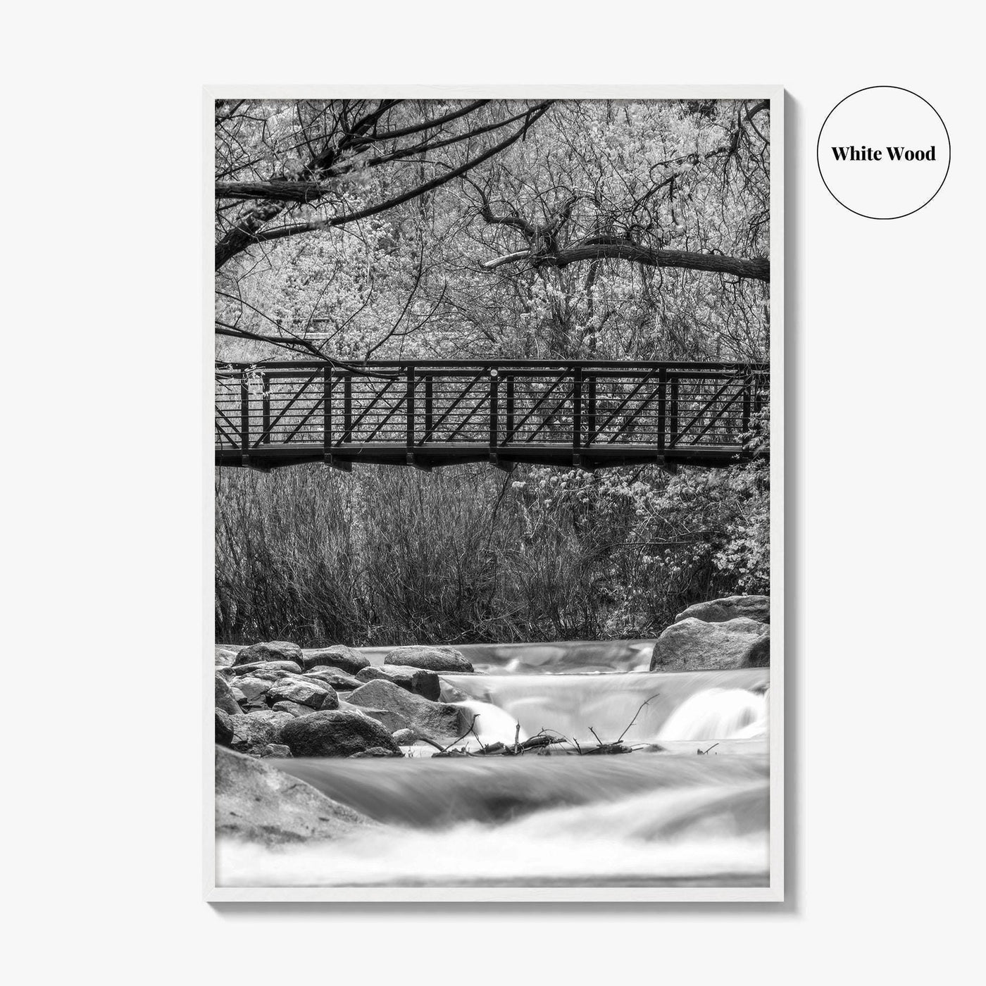 Boulder Creek Black and White Fine Art Photo Print, Colorado USA Poster