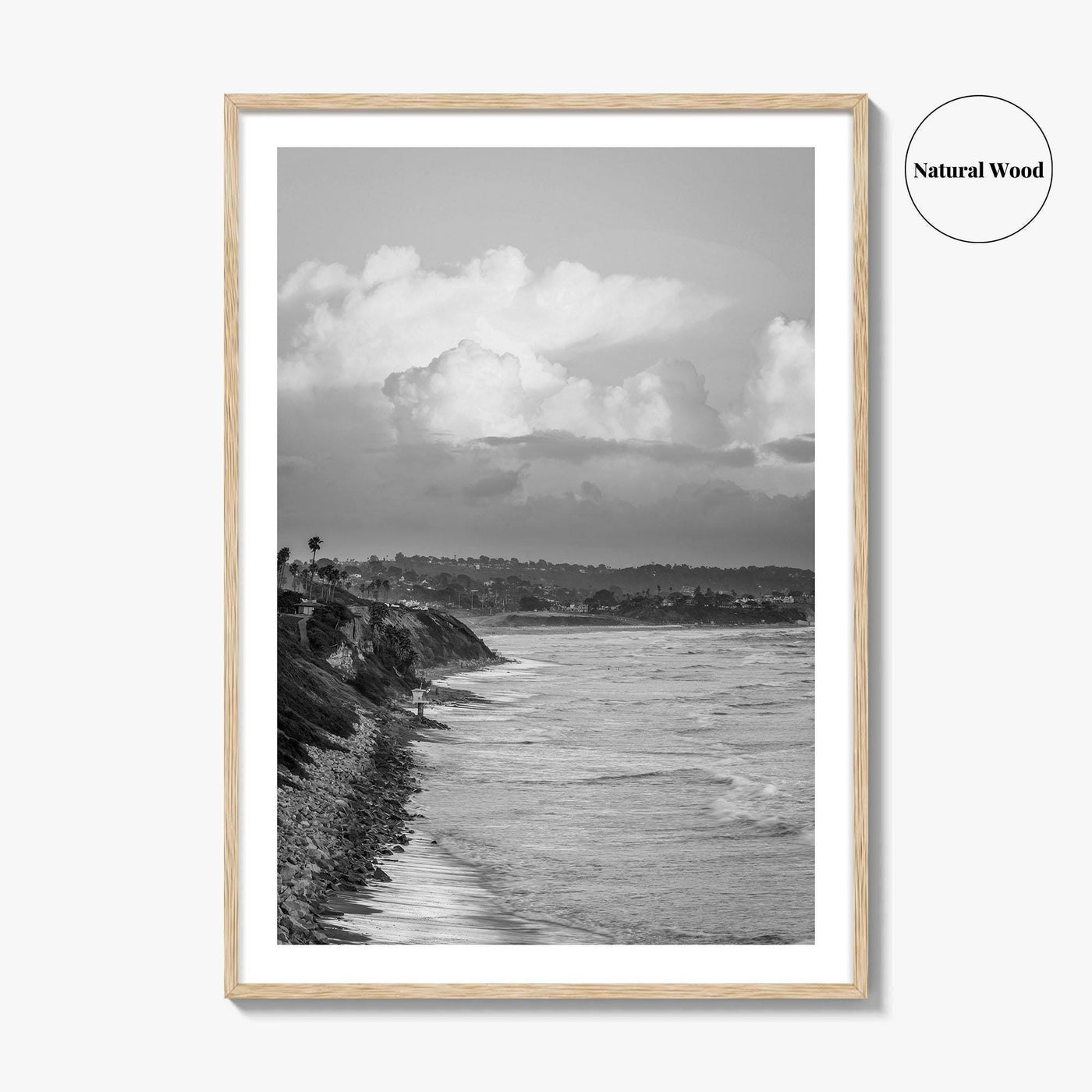 Encinitas Black and White Fine Art Photo Print, San Elijo Campground California Poster