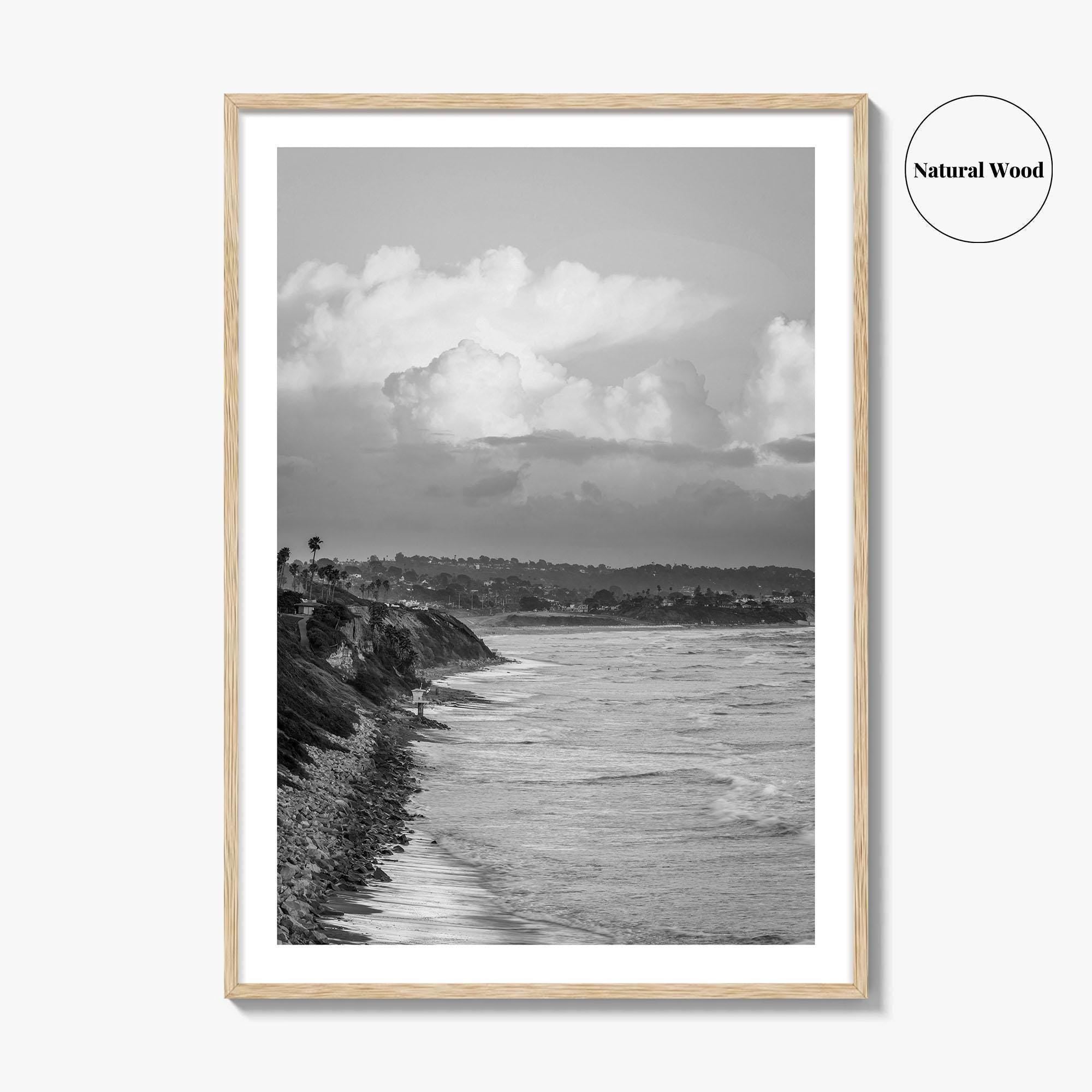 Encinitas Black and White Fine Art Photo Print, San Elijo Campground California Poster