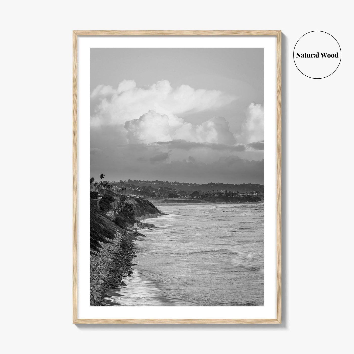 Encinitas Black and White Fine Art Photo Print, San Elijo Campground California Poster