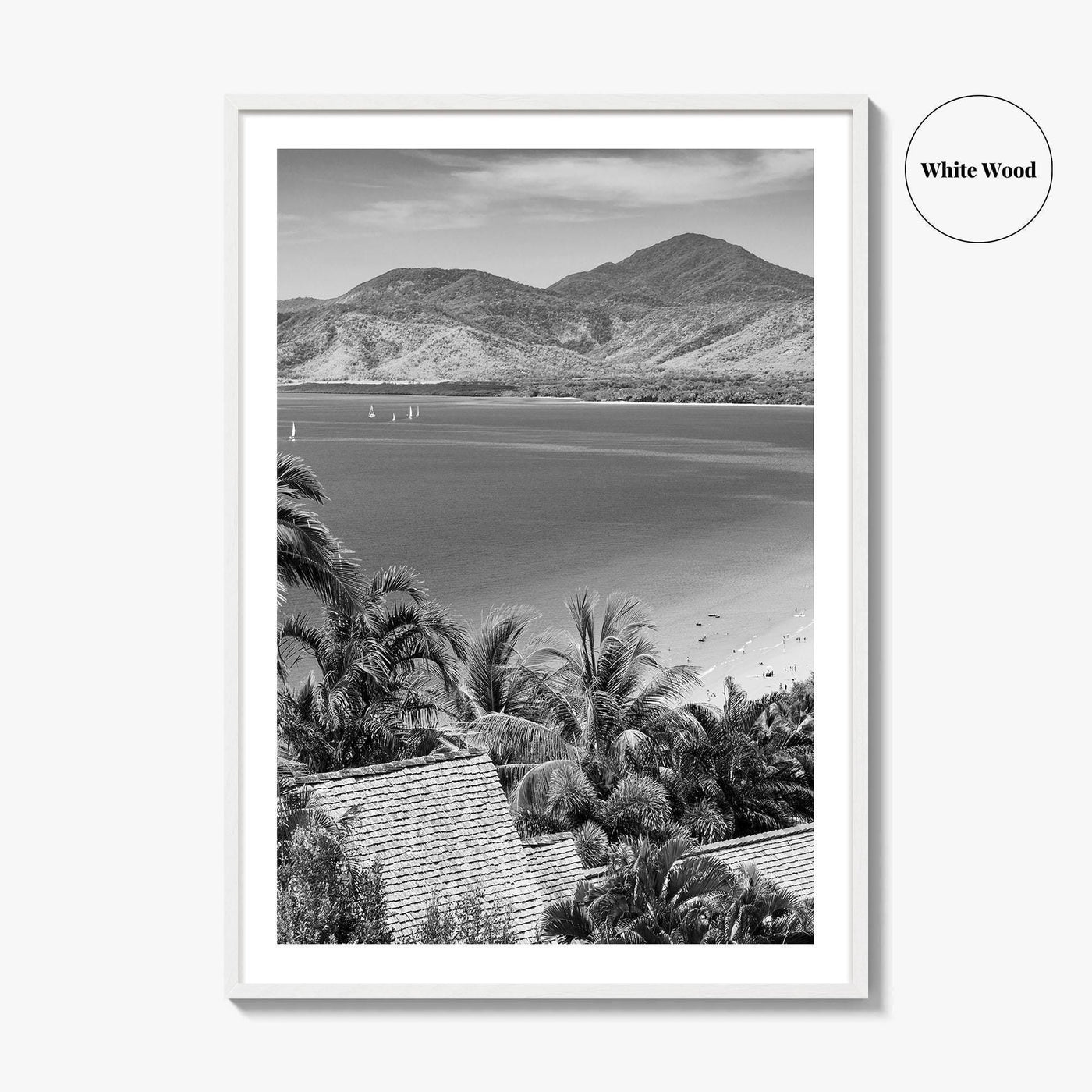 Great Barrier Reef Black and White Fine Art Photo Print, Port Douglas Poster