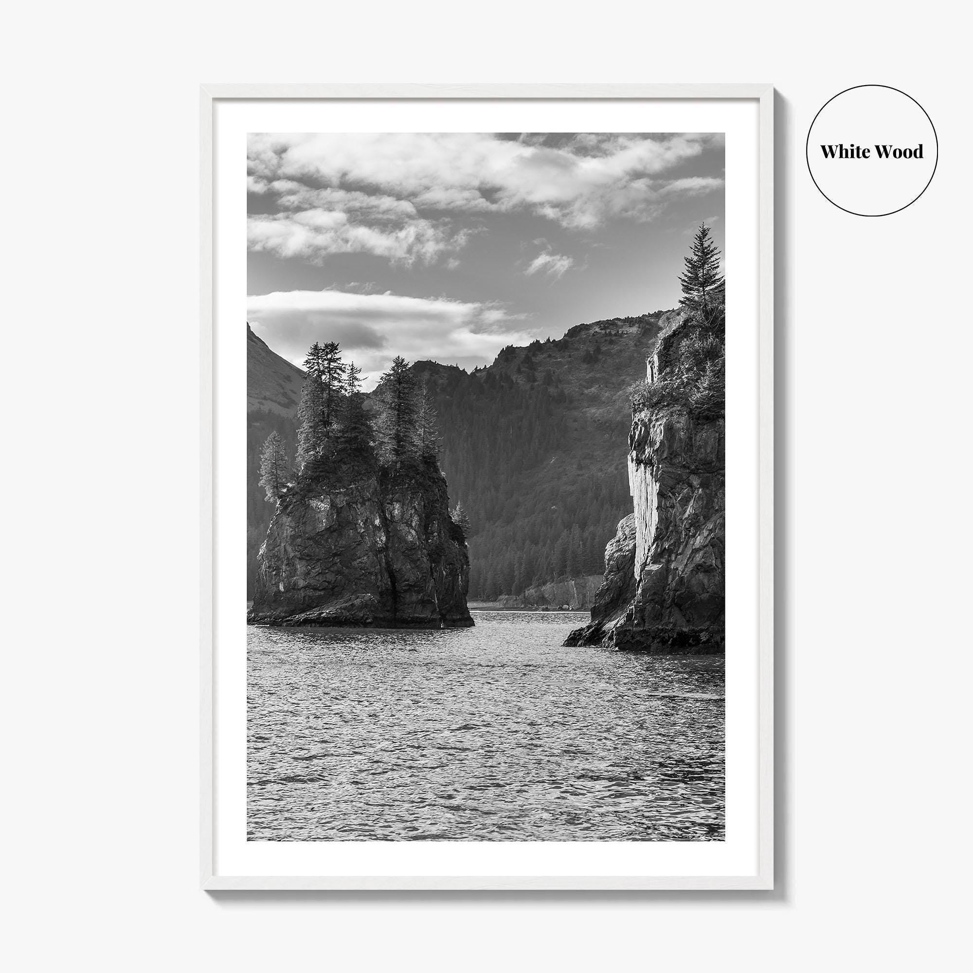 Kenai Fjords National Park Black and White Fine Art Photo Print, Seward Alaska Poster