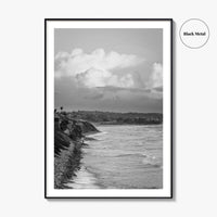 Encinitas Black and White Fine Art Photo Print, San Elijo Campground California Poster