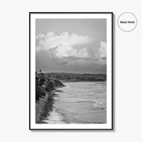 Encinitas Black and White Fine Art Photo Print, San Elijo Campground California Poster