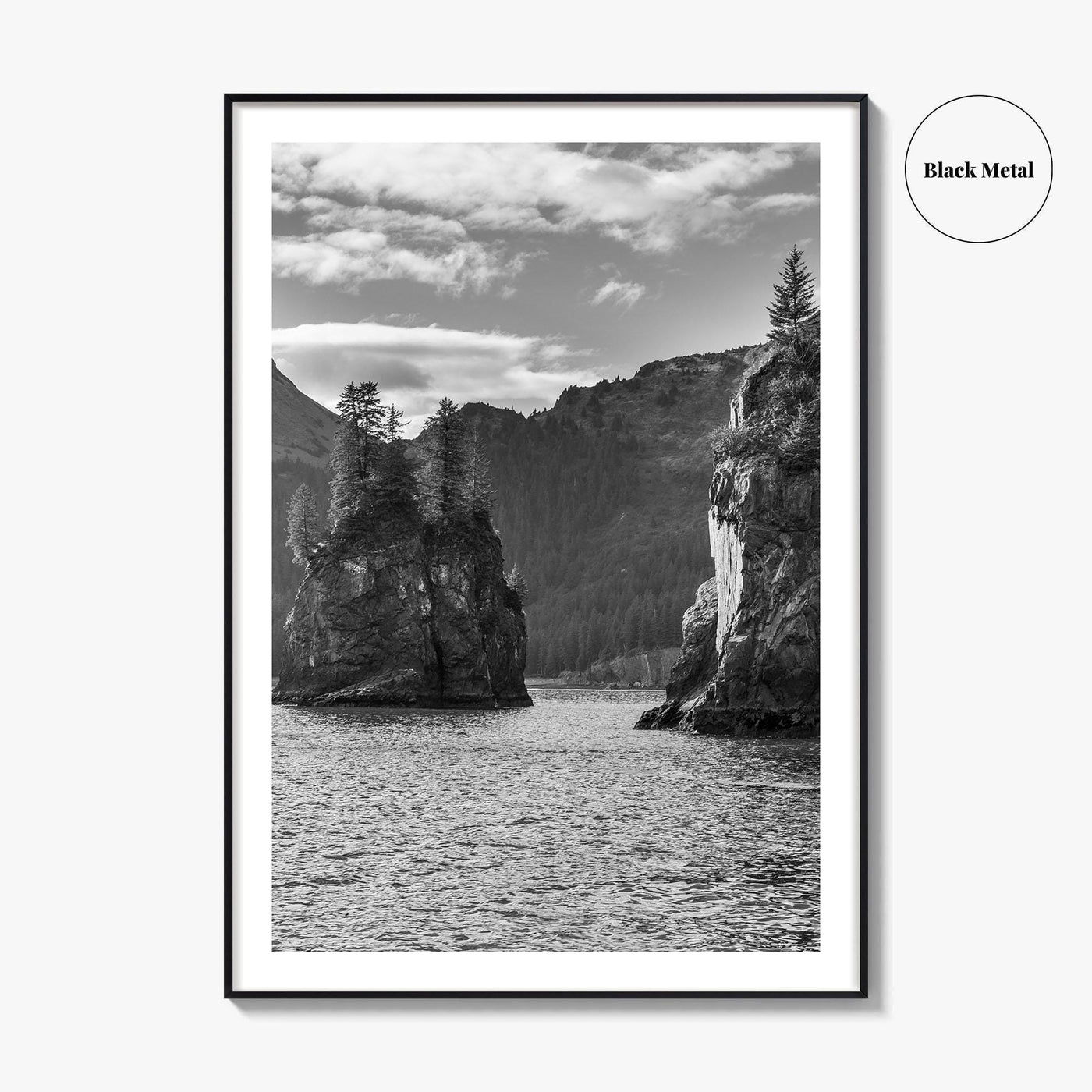 Kenai Fjords National Park Black and White Fine Art Photo Print, Seward Alaska Poster