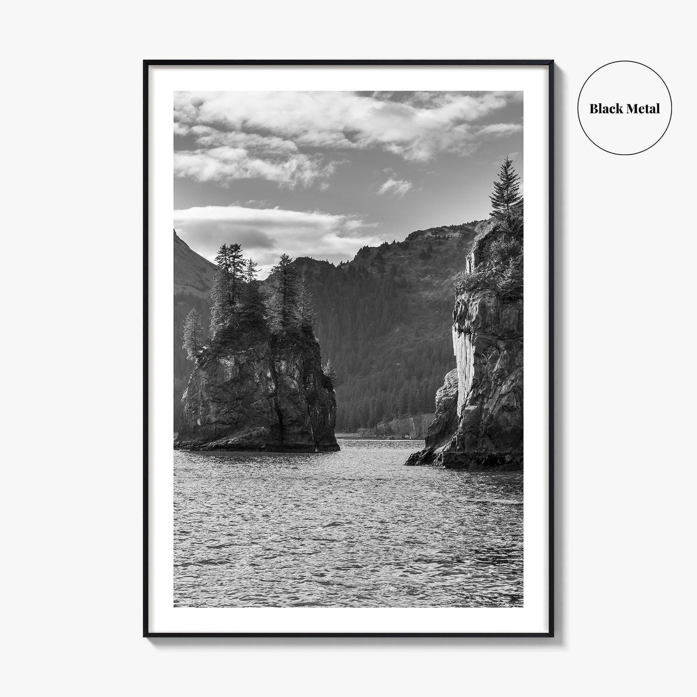 Kenai Fjords National Park Black and White Fine Art Photo Print, Seward Alaska Poster