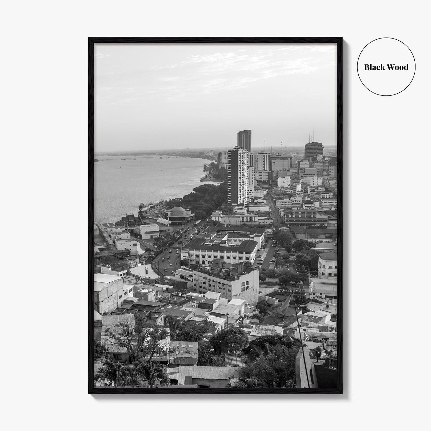 Guayaquil Skyline Black and White Fine Art Photo Print, Guayas River, Ecuador Wall Poster