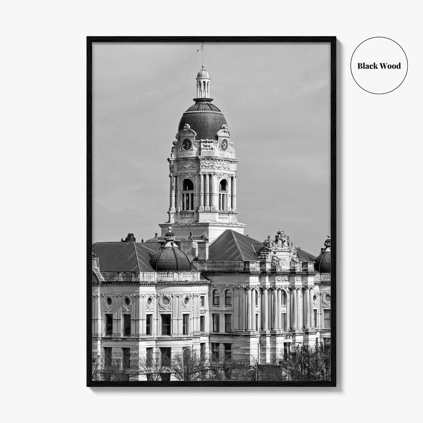 Evansville Indiana Black and White Fine Art Photo Print, Old Courthouse Poster, USA Poster