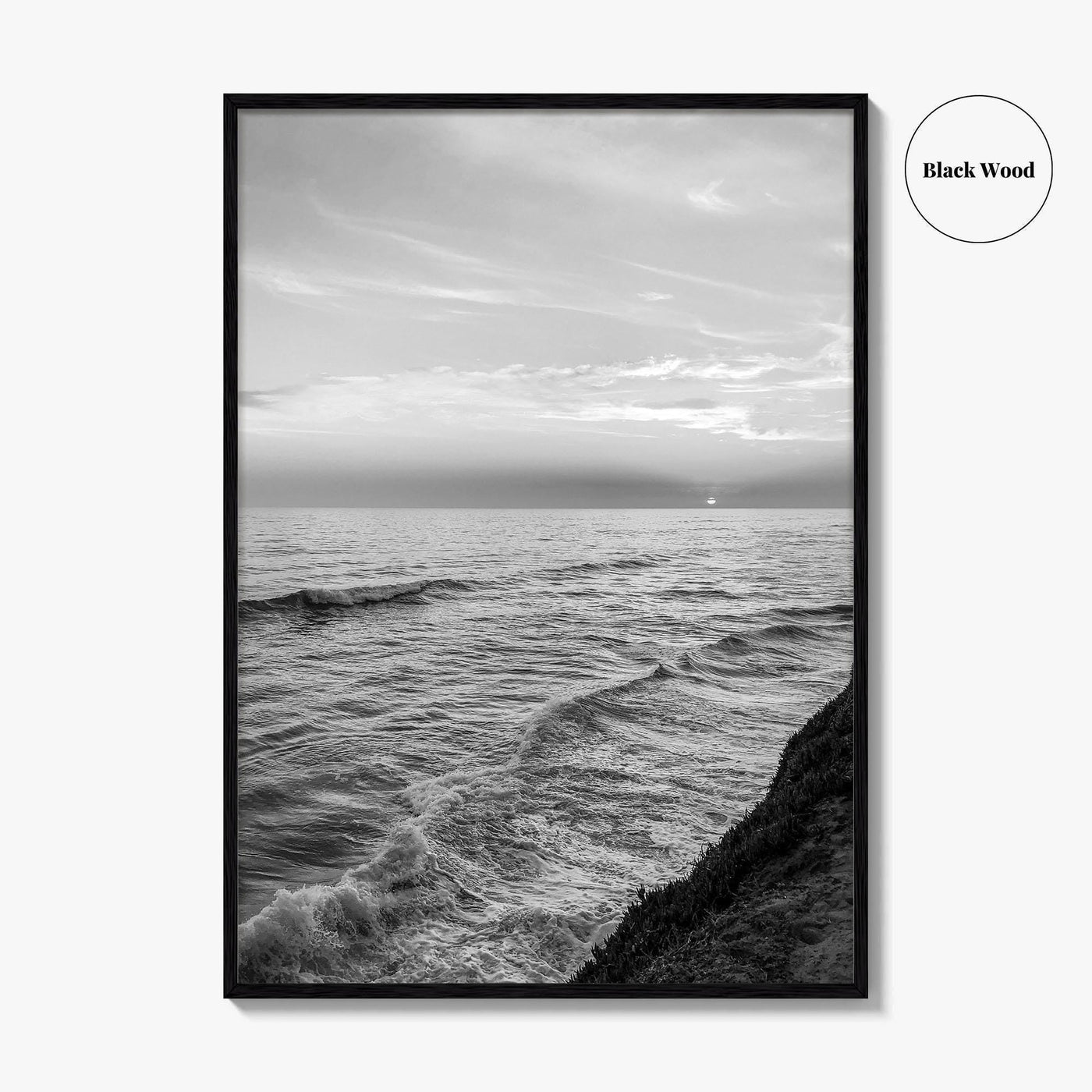 Carlsbad Black and White Fine Art Photo Print, San Diego California Poster
