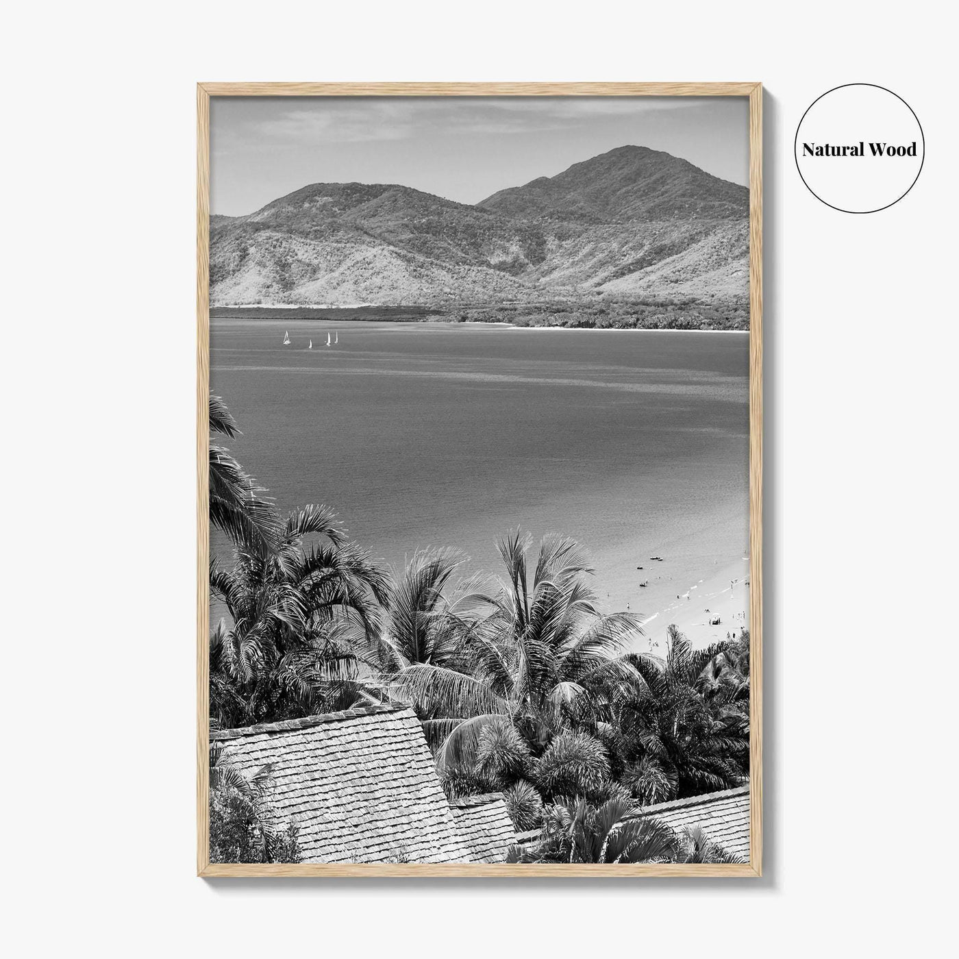 Great Barrier Reef Black and White Fine Art Photo Print, Port Douglas Poster