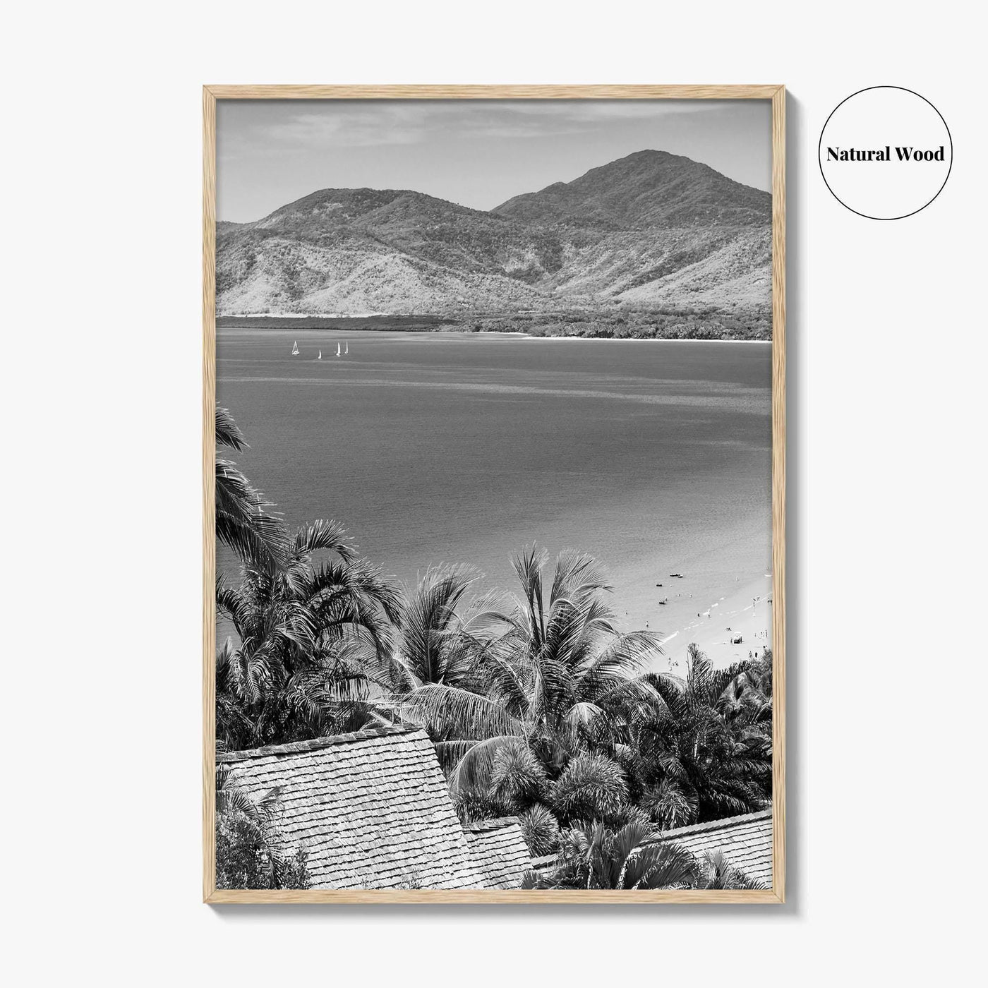 Great Barrier Reef Black and White Fine Art Photo Print, Port Douglas Poster