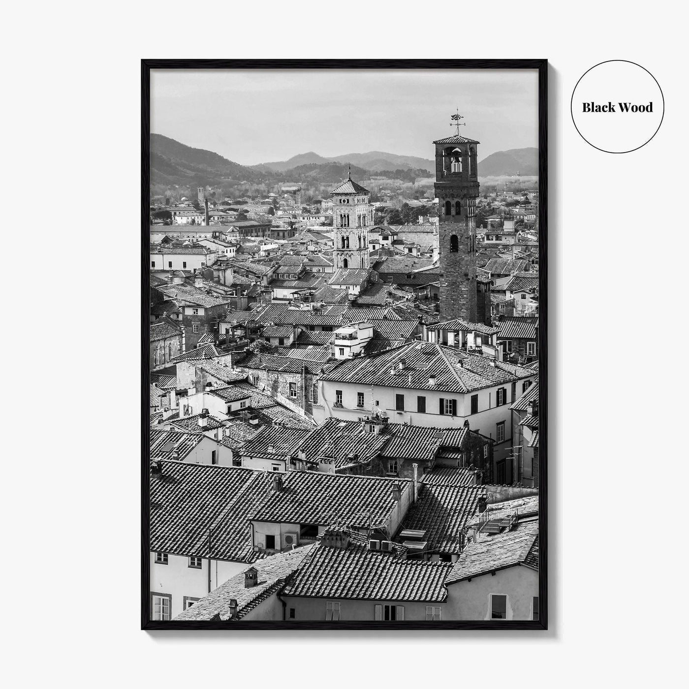 Lucca Black and White Fine Art Photo Print, Tuscany Italy Guinigi Tower View Poster
