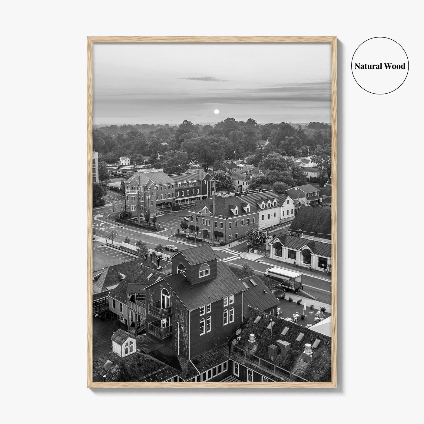Leesburg Black and White Fine Art Photo Print, Market Station Aerial, Loudoun County Virginia