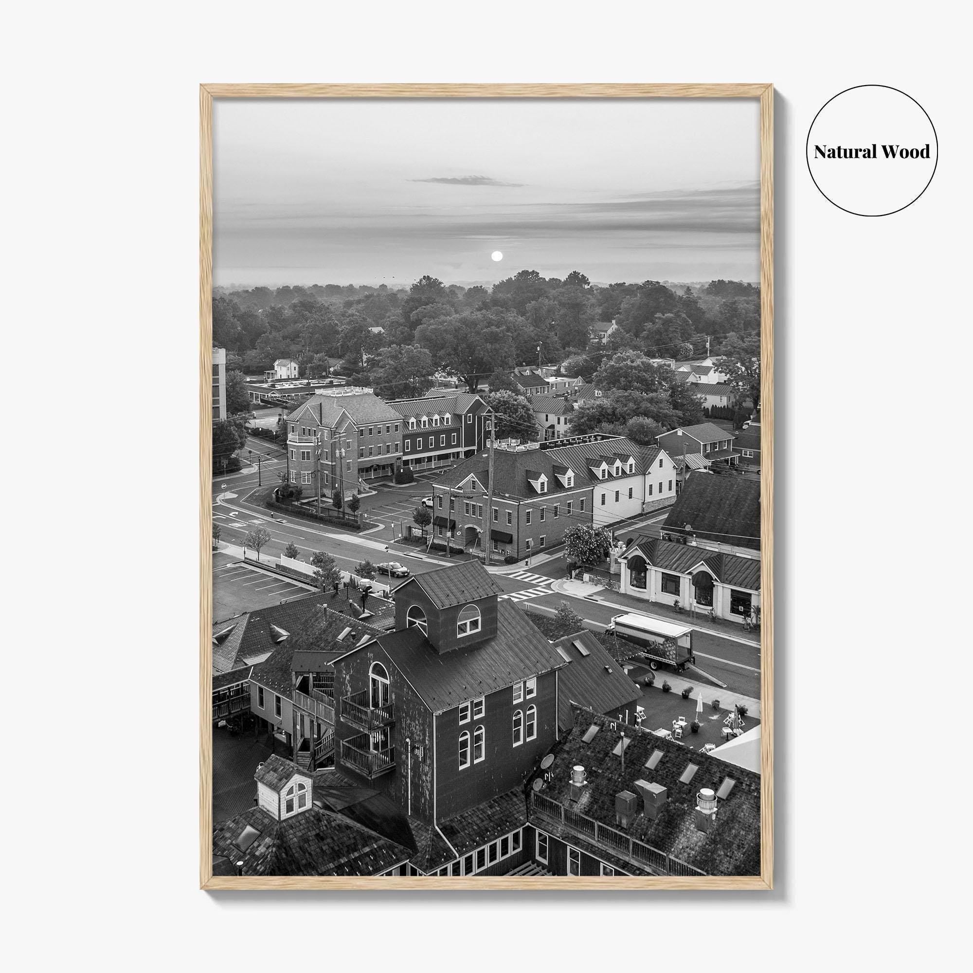 Leesburg Black and White Fine Art Photo Print, Market Station Aerial, Loudoun County Virginia