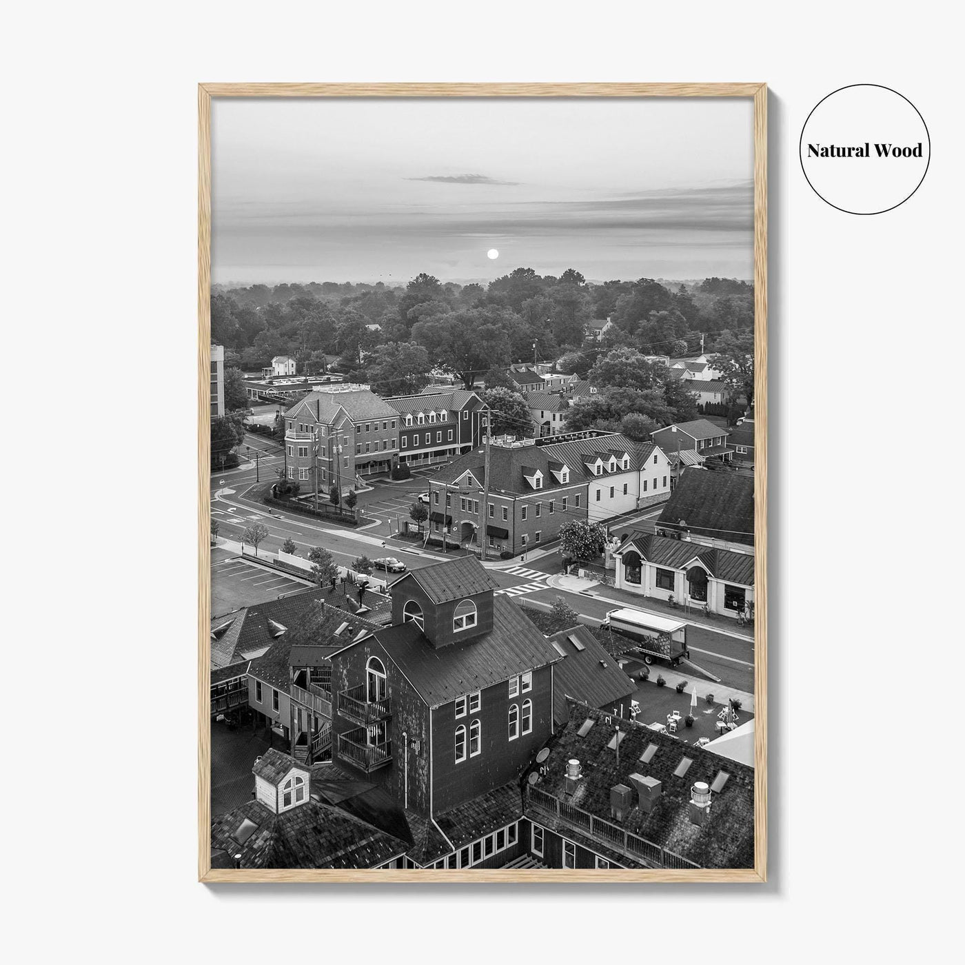 Leesburg Black and White Fine Art Photo Print, Market Station Aerial, Loudoun County Virginia