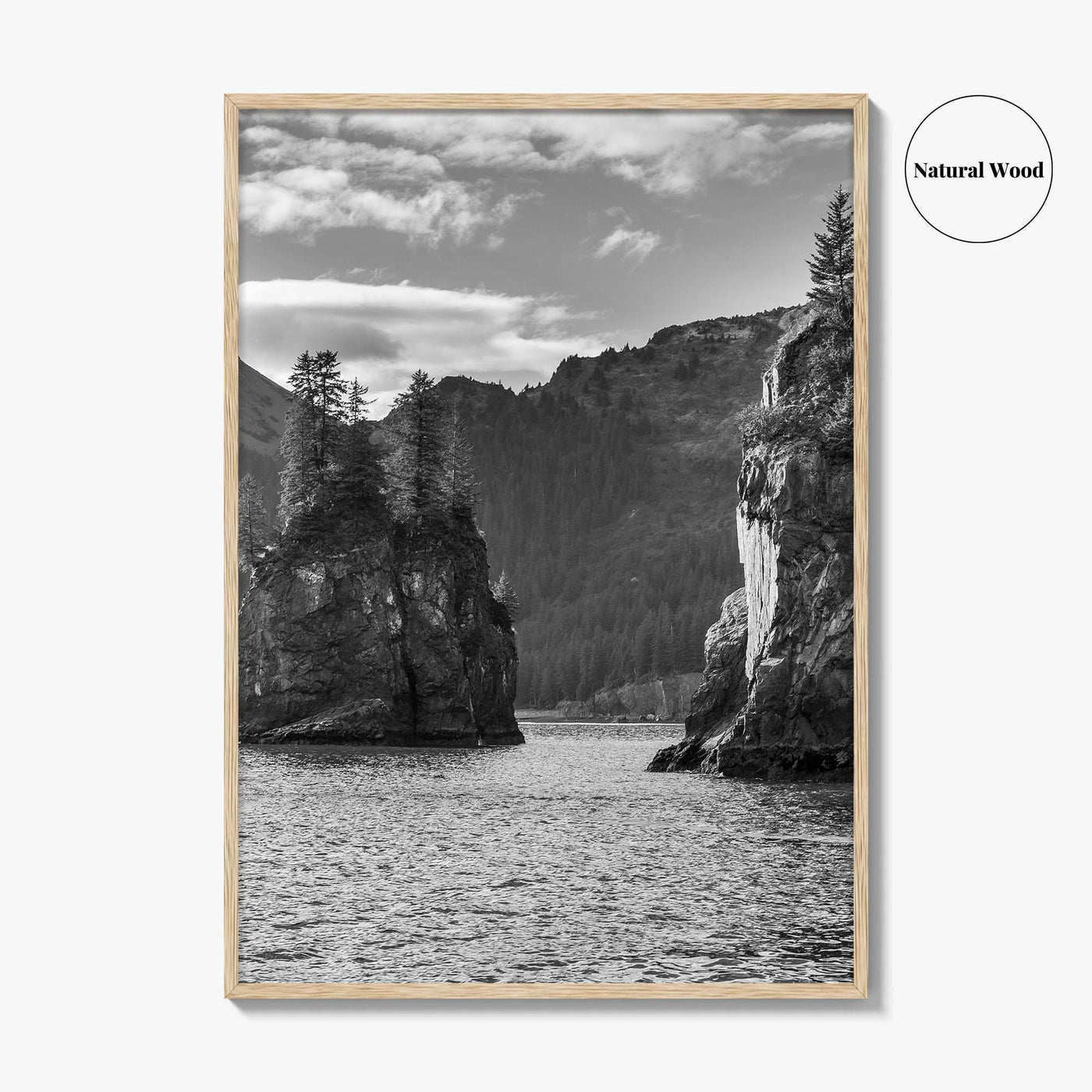 Kenai Fjords National Park Black and White Fine Art Photo Print, Seward Alaska Poster