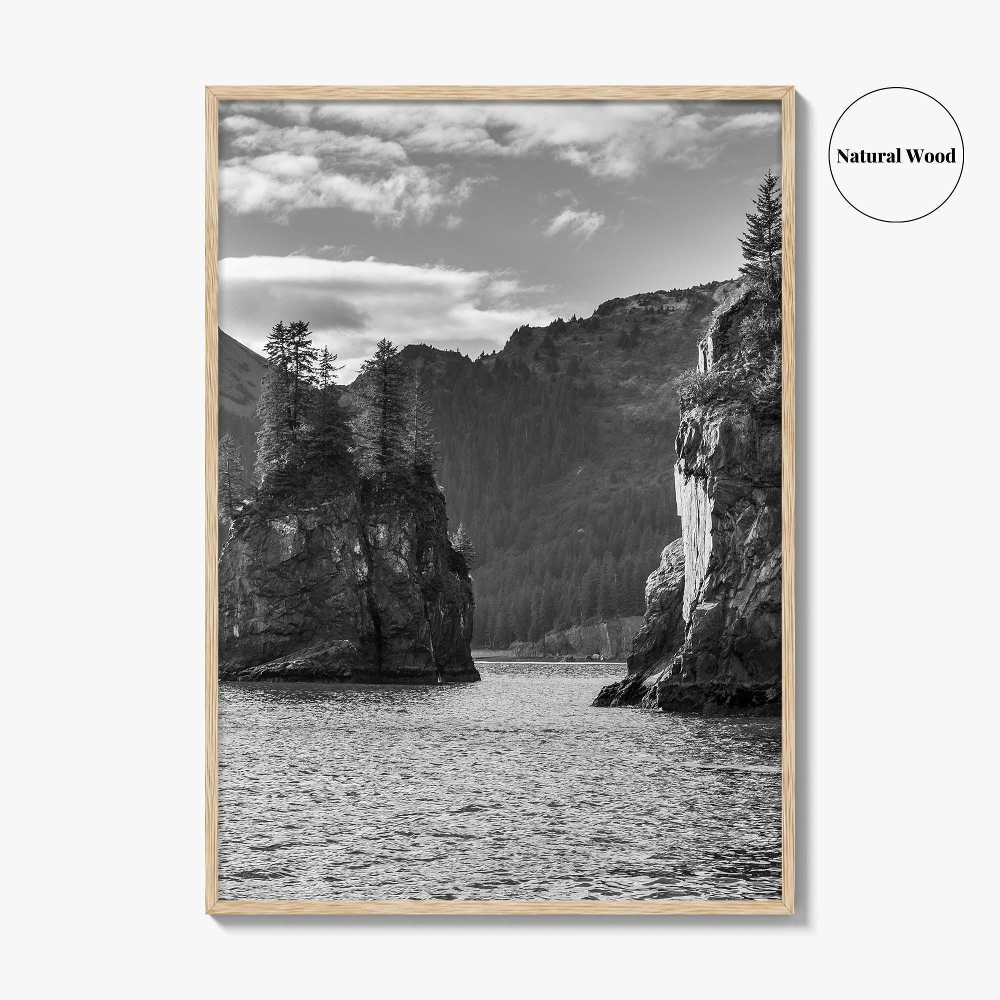Kenai Fjords National Park Black and White Fine Art Photo Print, Seward Alaska Poster