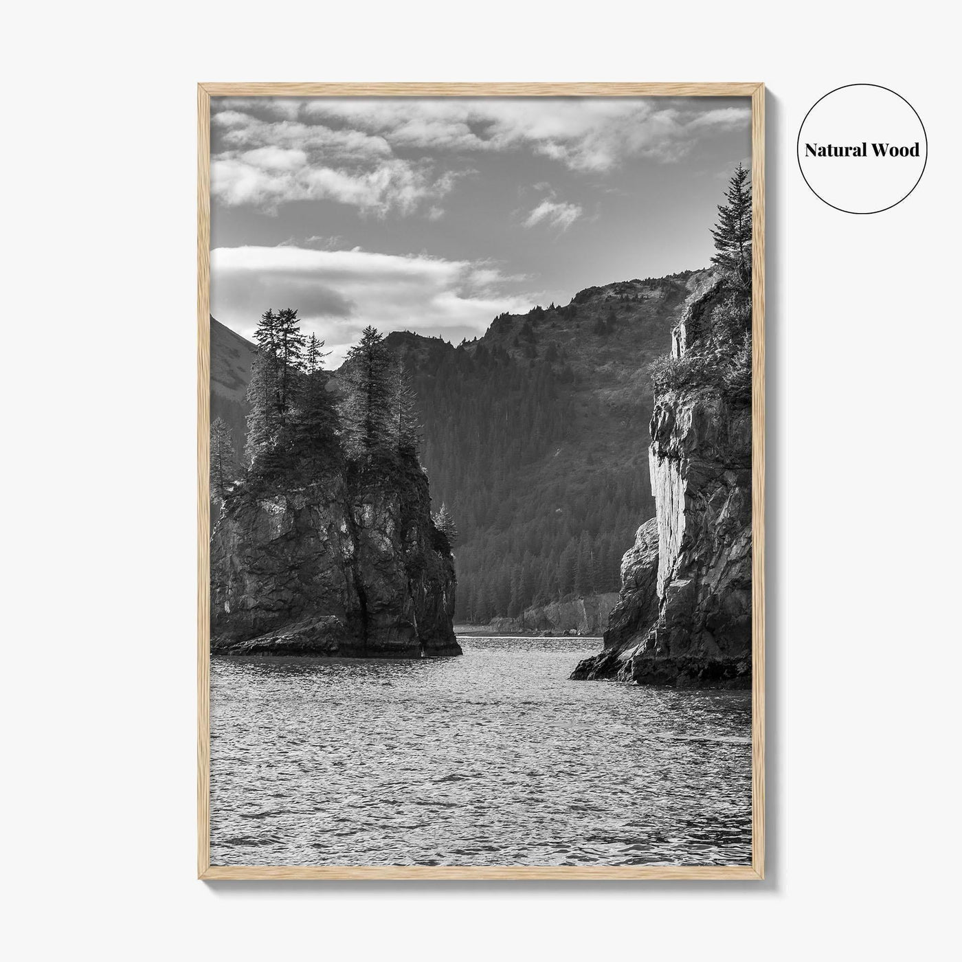 Kenai Fjords National Park Black and White Fine Art Photo Print, Seward Alaska Poster