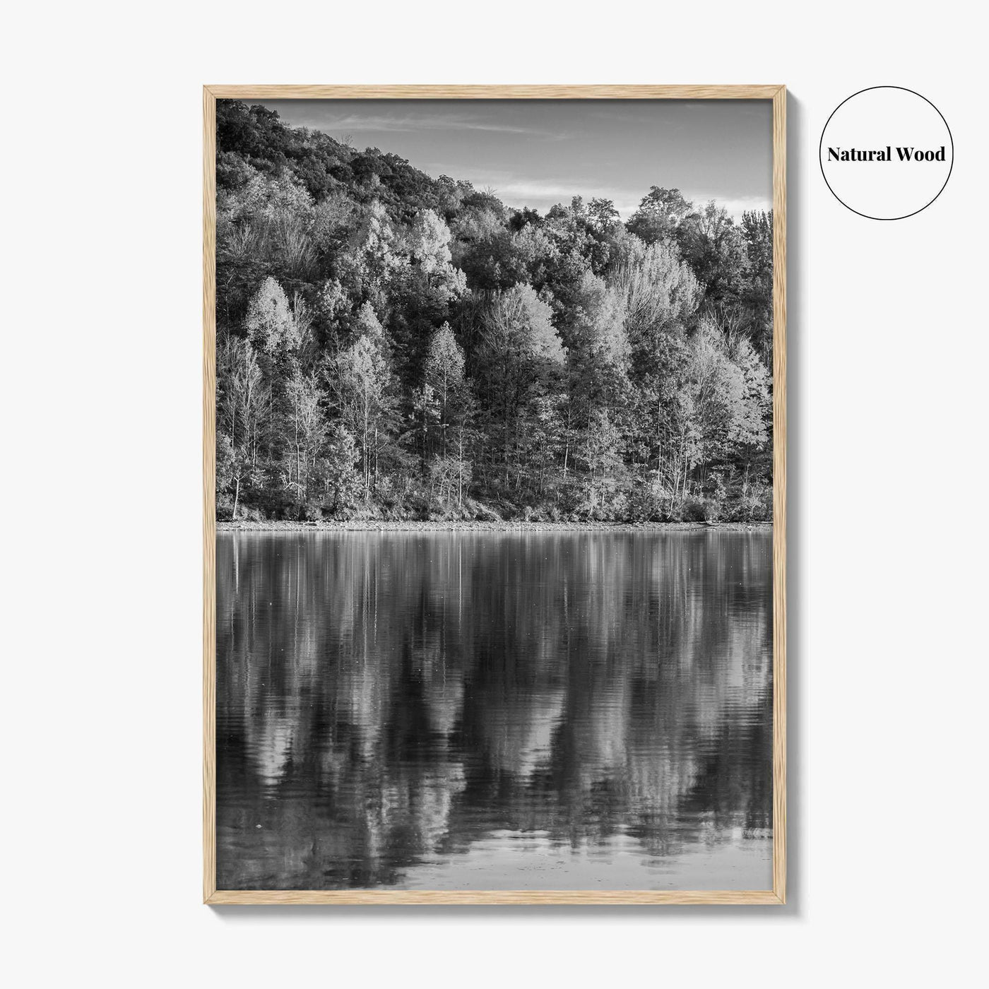 Maryland Black and White Fine Art Photo Print, Lake Habeeb, Rocky Gap State Park