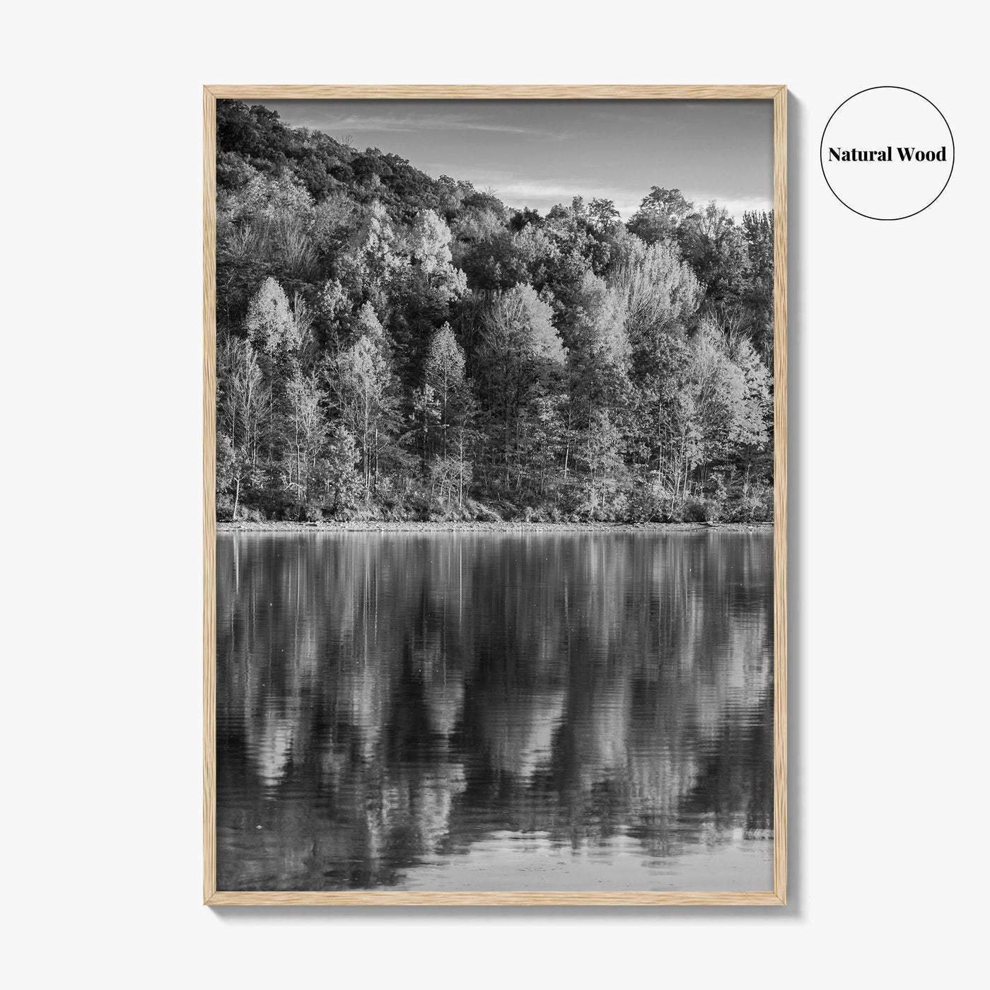 Maryland Black and White Fine Art Photo Print, Lake Habeeb, Rocky Gap State Park