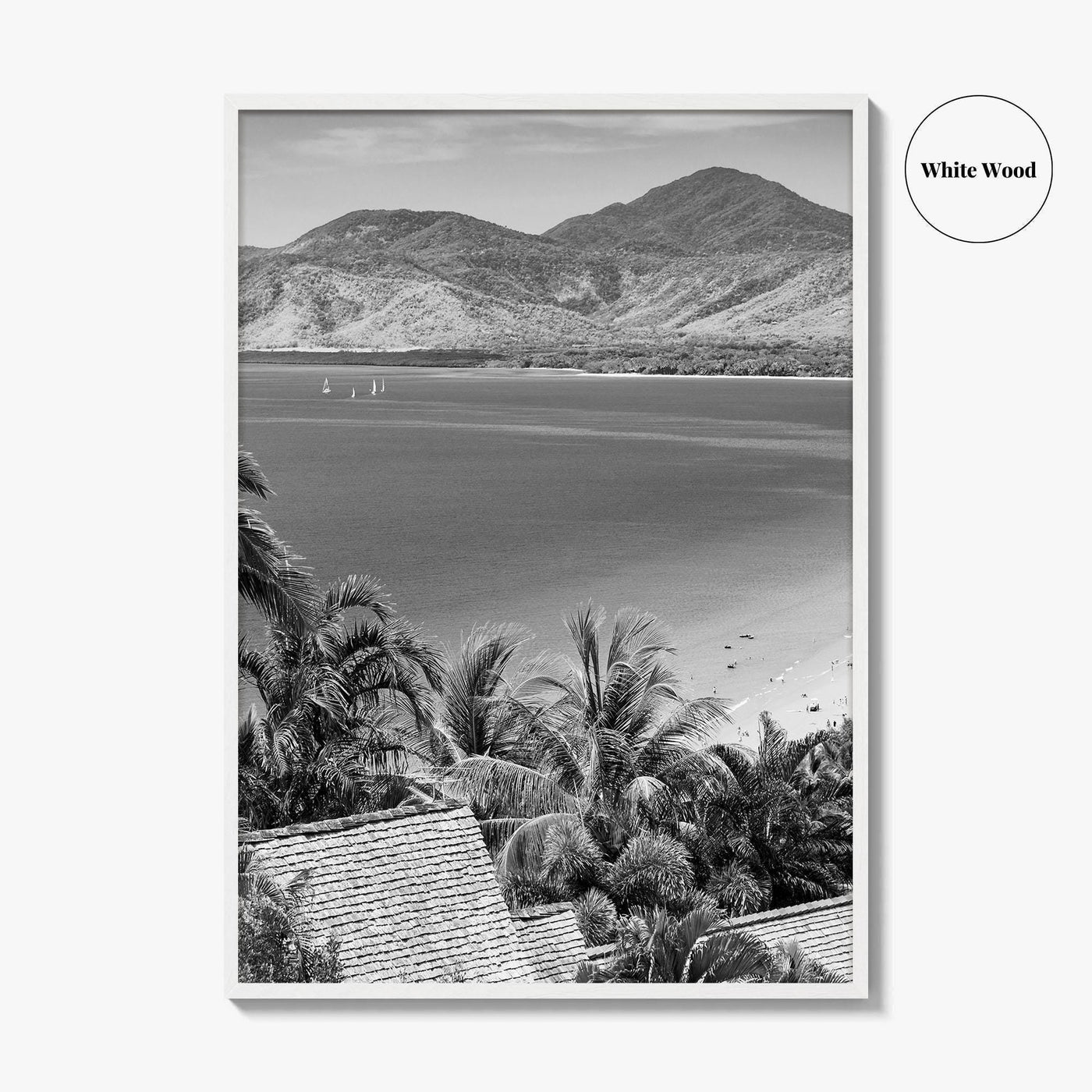 Great Barrier Reef Black and White Fine Art Photo Print, Port Douglas Poster