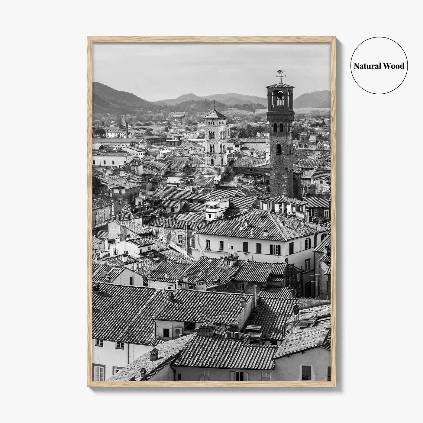 Lucca Black and White Fine Art Photo Print, Tuscany Italy Guinigi Tower View Poster