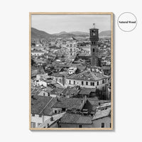 Lucca Black and White Fine Art Photo Print, Tuscany Italy Guinigi Tower View Poster