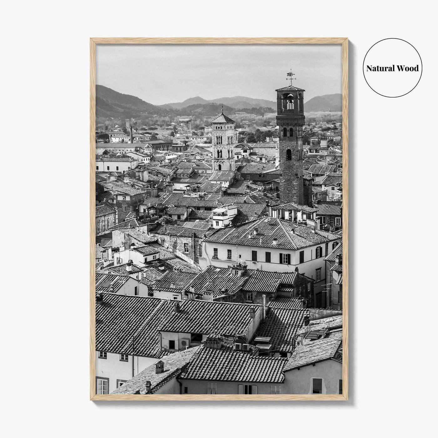 Lucca Black and White Fine Art Photo Print, Tuscany Italy Guinigi Tower View Poster