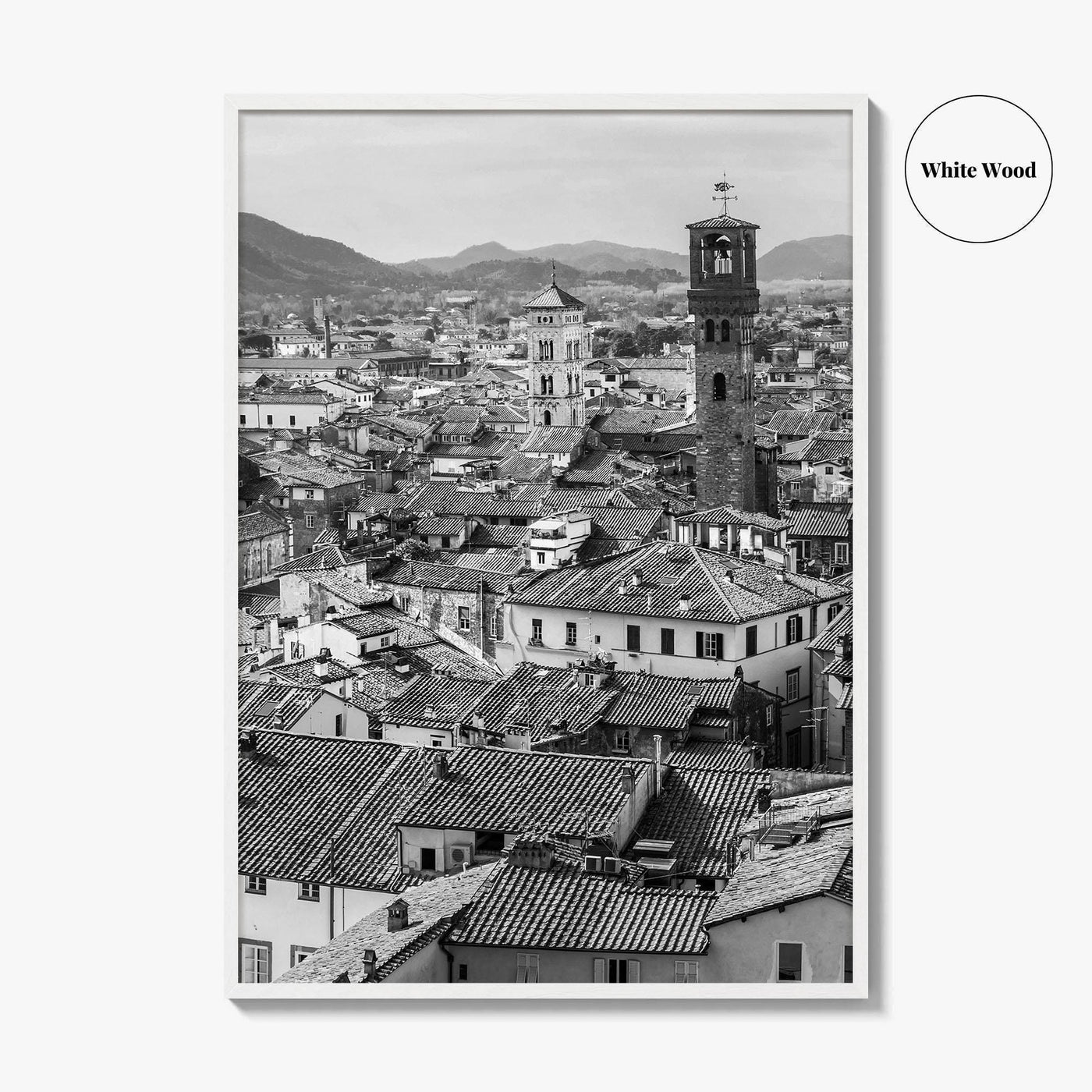 Lucca Black and White Fine Art Photo Print, Tuscany Italy Guinigi Tower View Poster