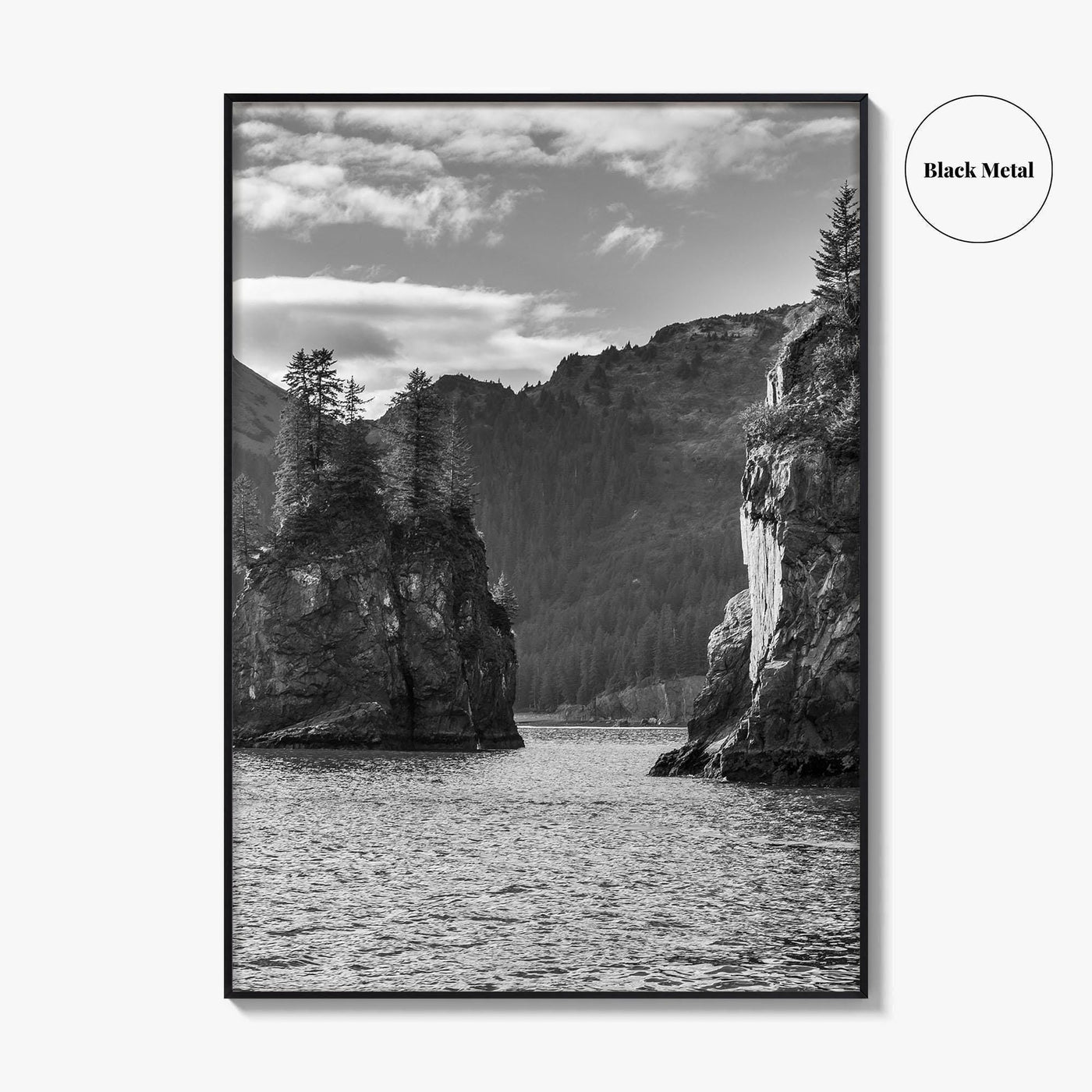 Kenai Fjords National Park Black and White Fine Art Photo Print, Seward Alaska Poster