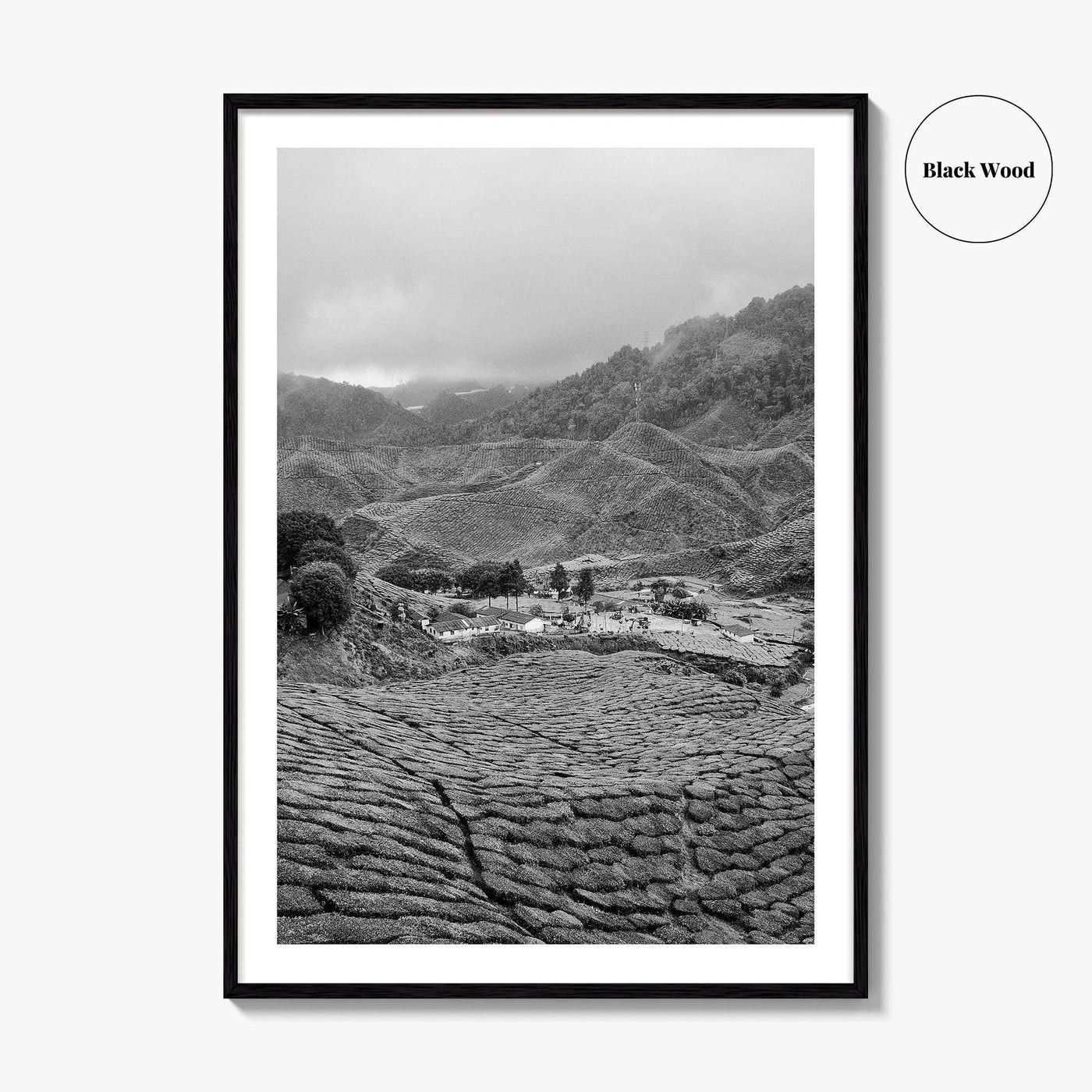 Cameroon Black and White Fine Art Photo Print, Highland Tea Farm, Africa Wall Poster