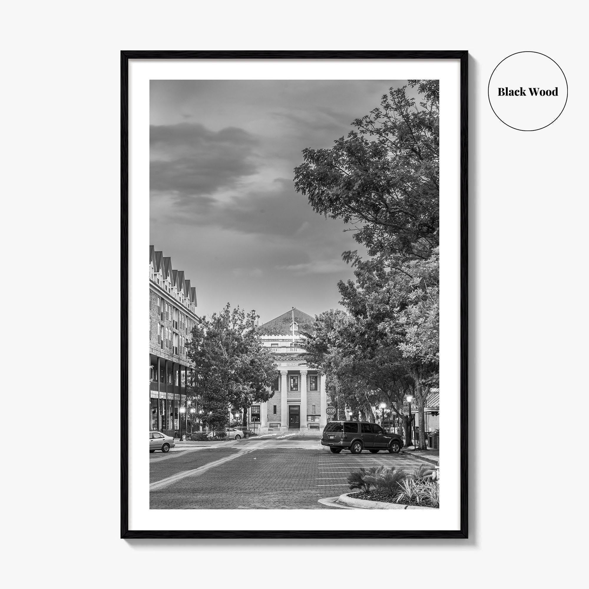 Gainesville Black and White Fine Art Photo Print, FL USA, Wall Poster